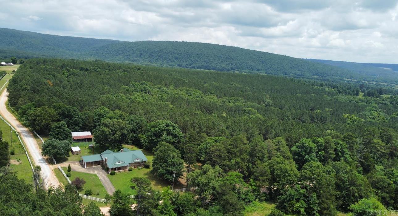 1162 Cove  Mountain View, AR