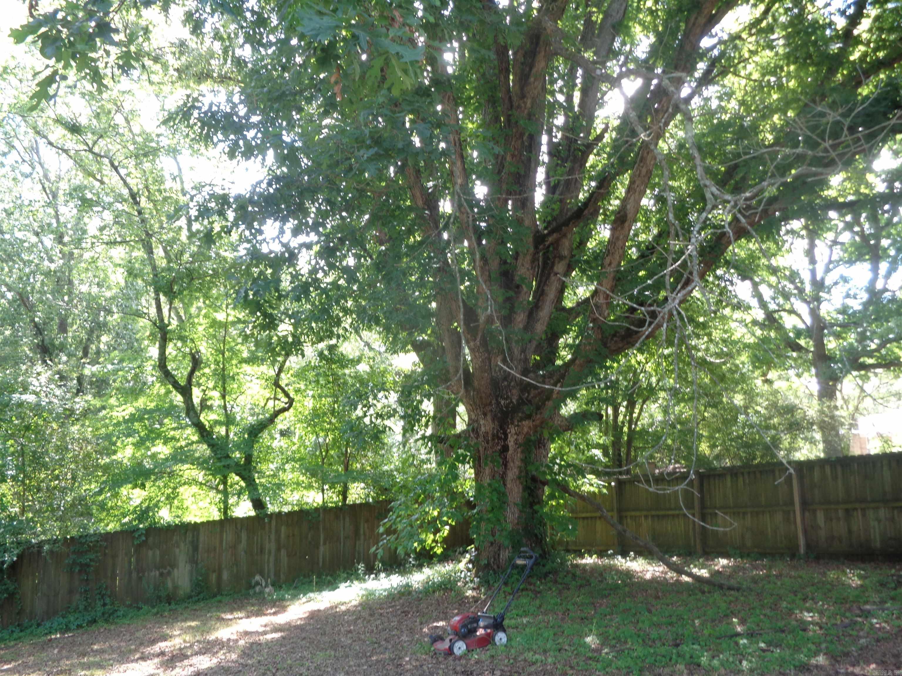 3101 Boyd  Little Rock, AR