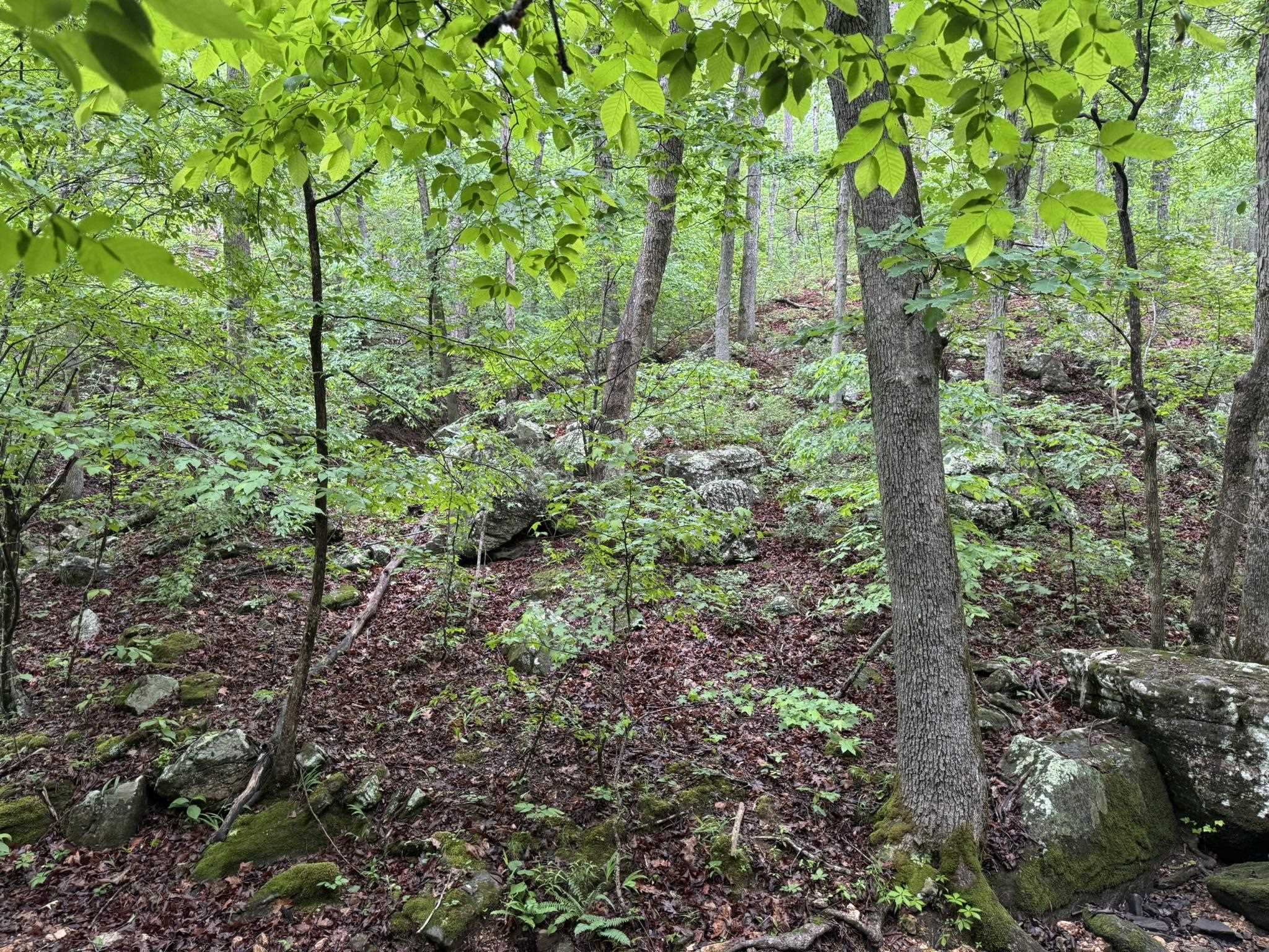 160A S AR 9 Hwy  Melbourne, AR