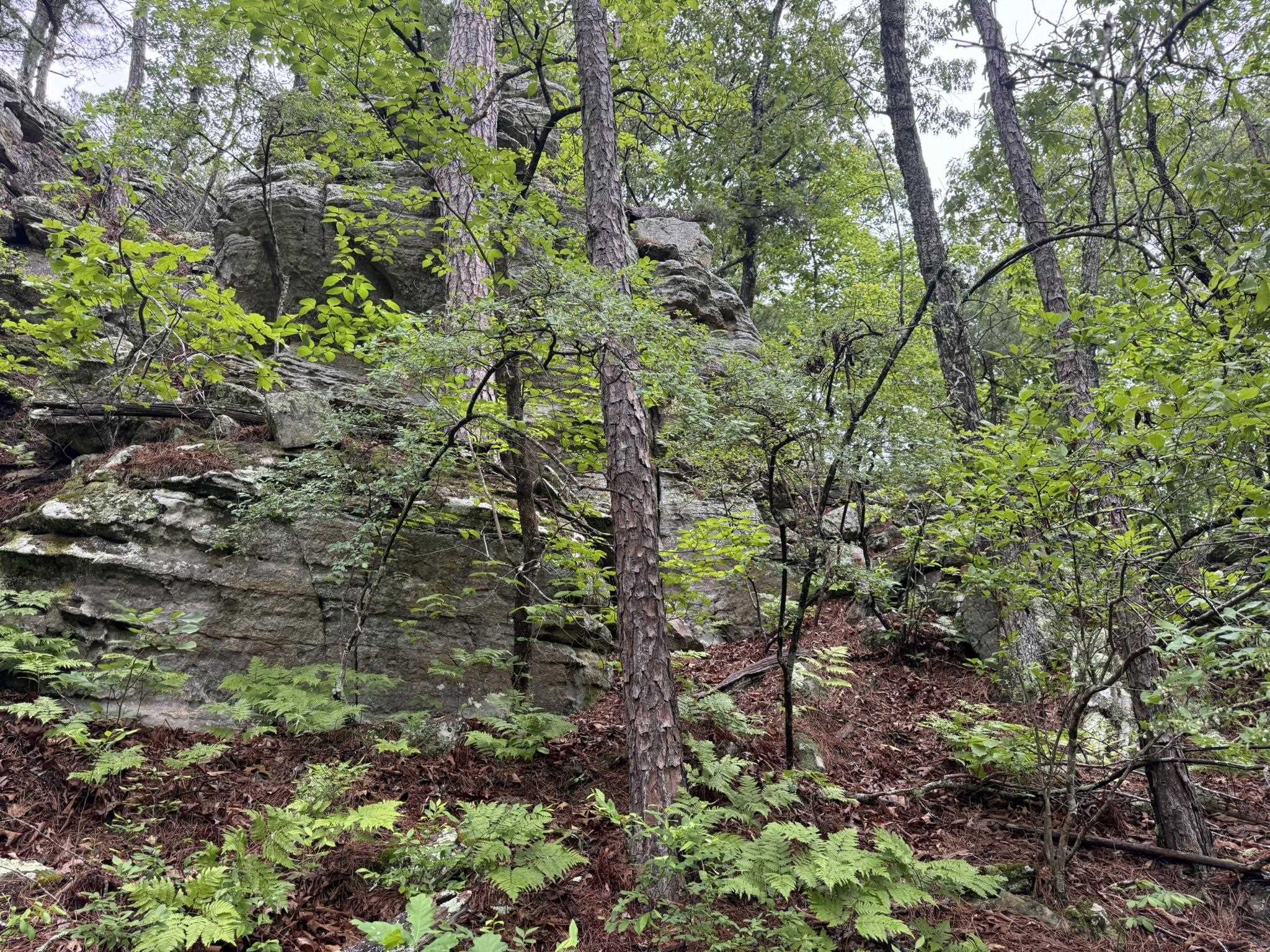 160A S AR 9 Hwy  Melbourne, AR