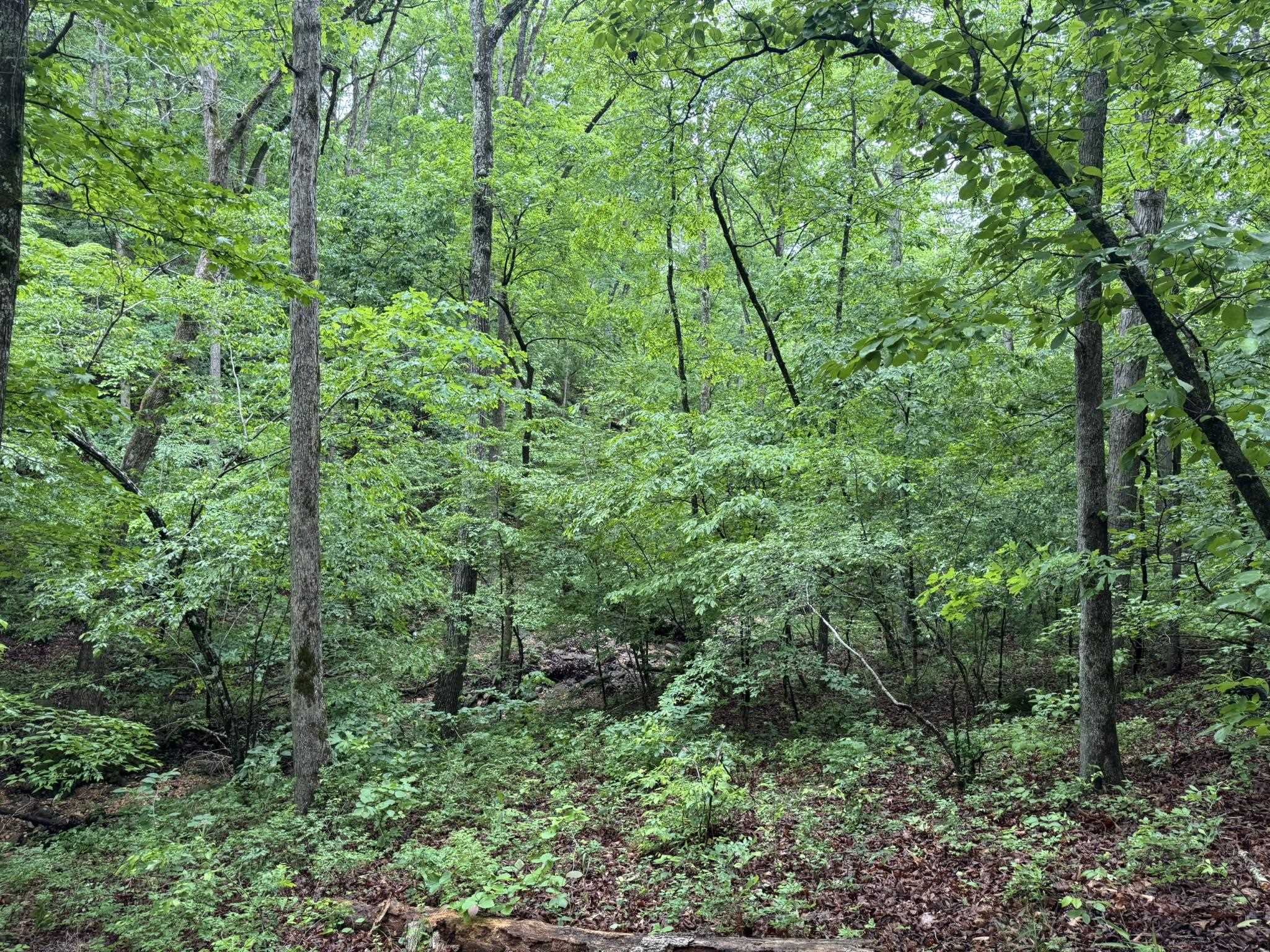 160A S AR 9 Hwy  Melbourne, AR