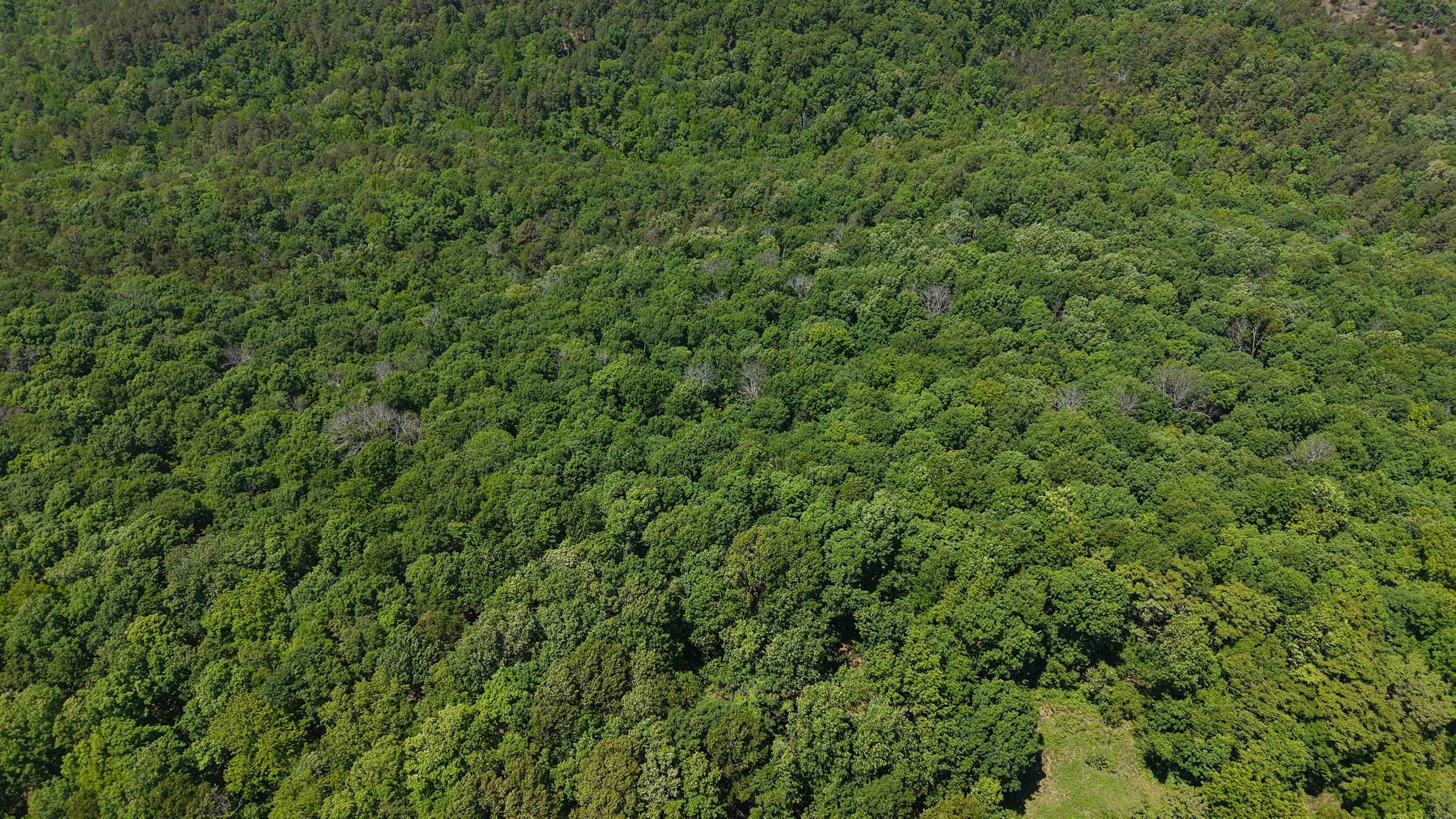 160A S AR 9 Hwy  Melbourne, AR
