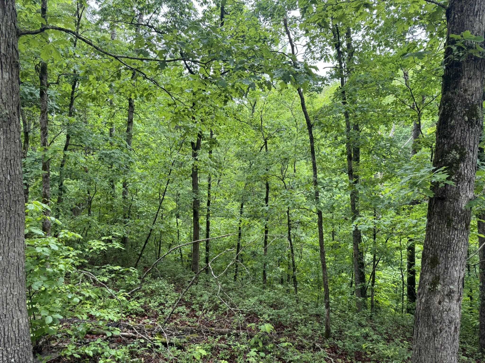 160A S AR 9 Hwy  Melbourne, AR