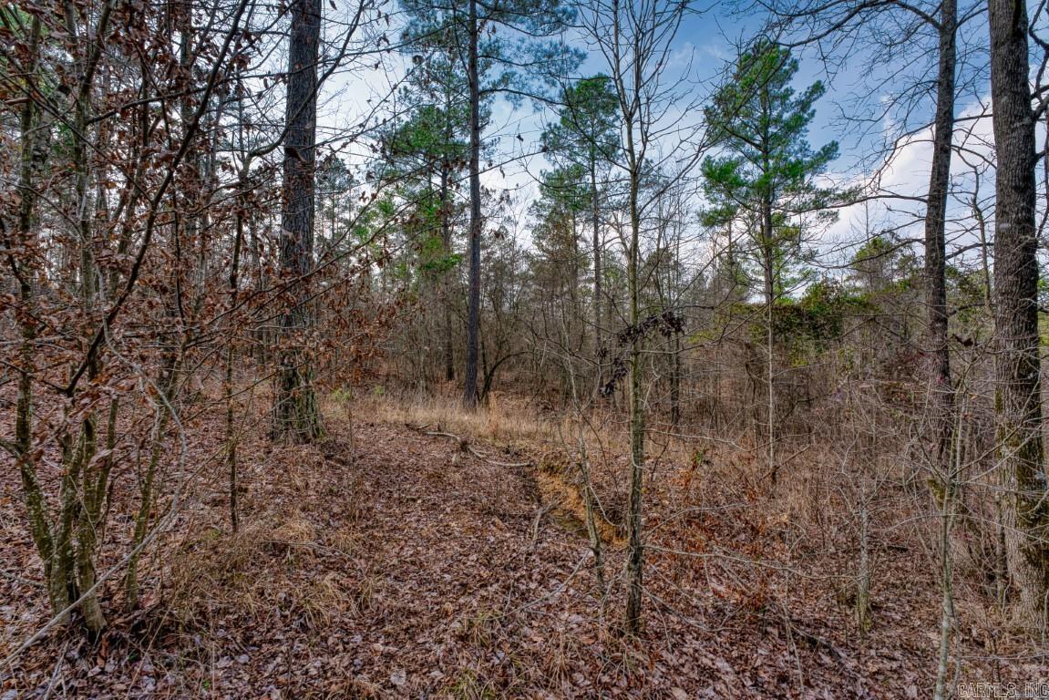 19 Lookout Lane Lot 11 Kirby, AR