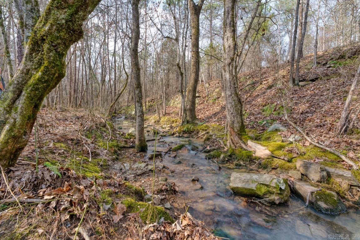 19 Lookout Lane Lot 11 Kirby, AR
