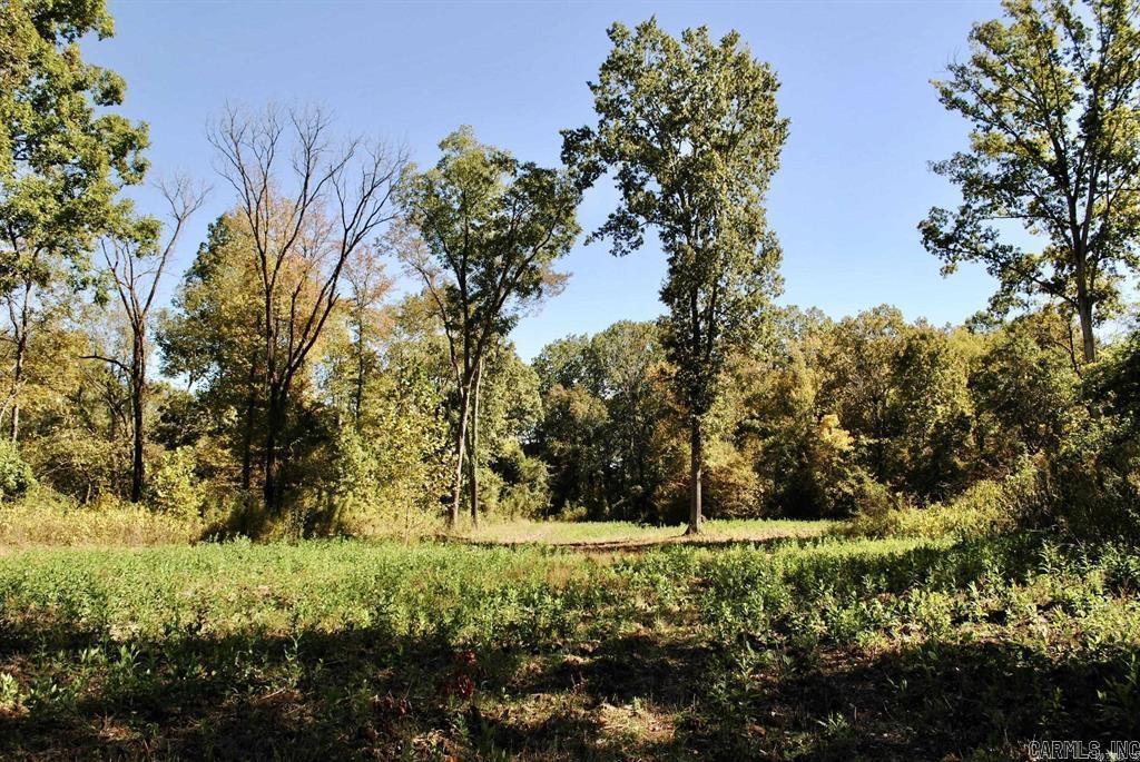  Off Forest Road Y09  Perryville, AR