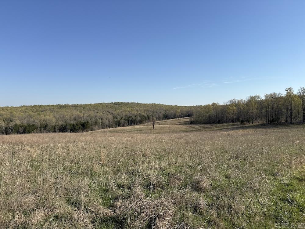  North Camp Creek Rd  Mammoth Spring, AR