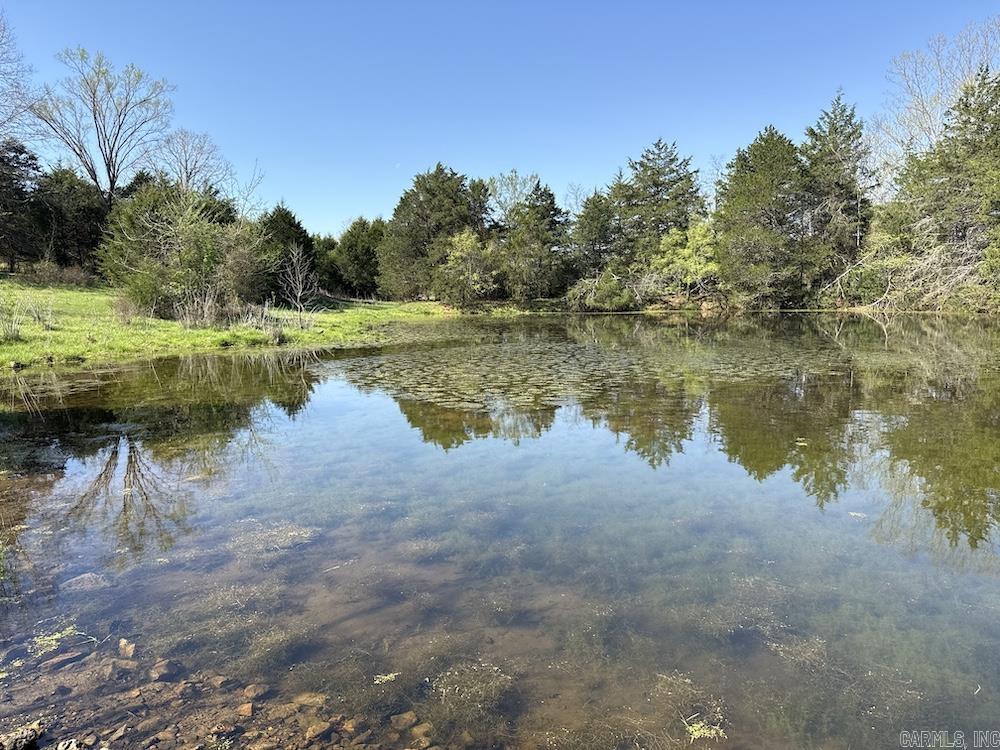  North Camp Creek Rd  Mammoth Spring, AR