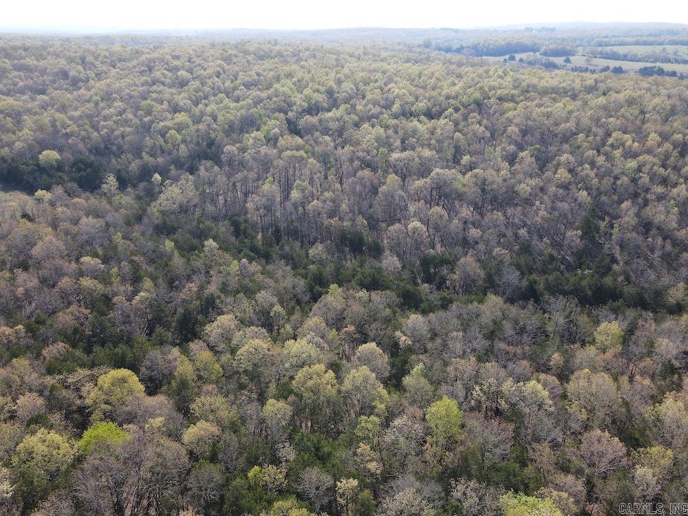  North Camp Creek Rd  Mammoth Spring, AR