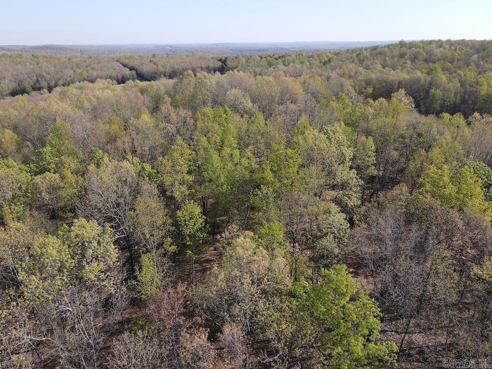  North Camp Creek Rd  Mammoth Spring, AR