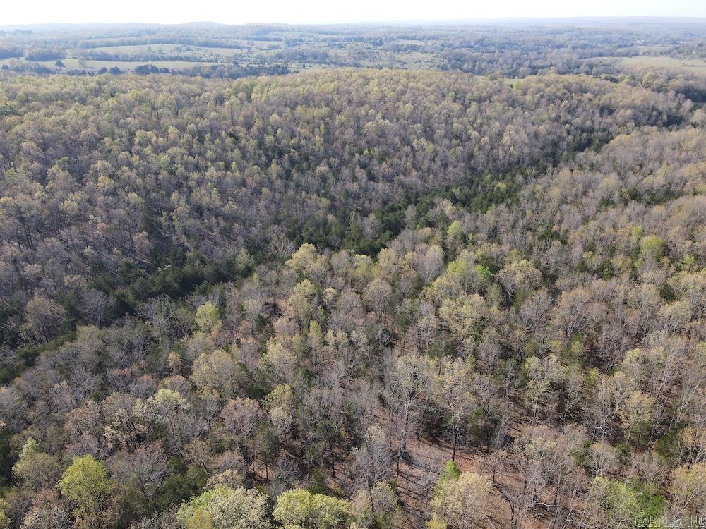  North Camp Creek Rd  Mammoth Spring, AR