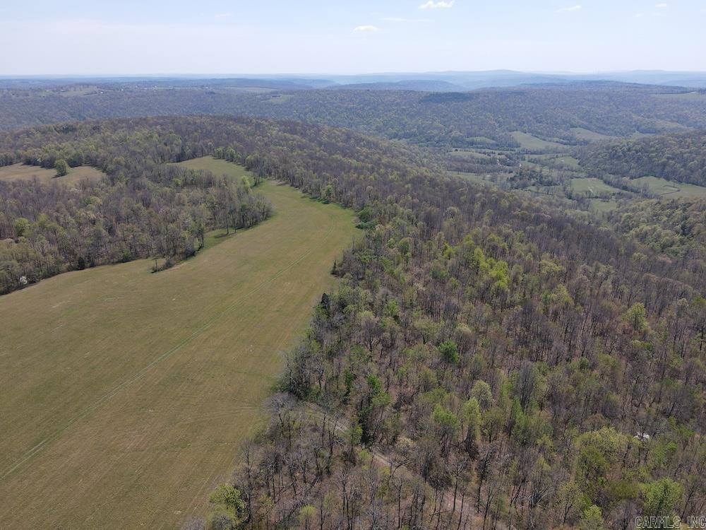 TBD Liberty Road  Leslie, AR