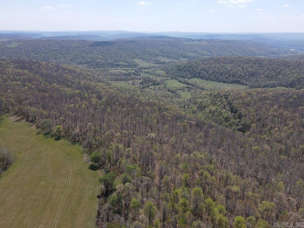 TBD Liberty Road  Leslie, AR