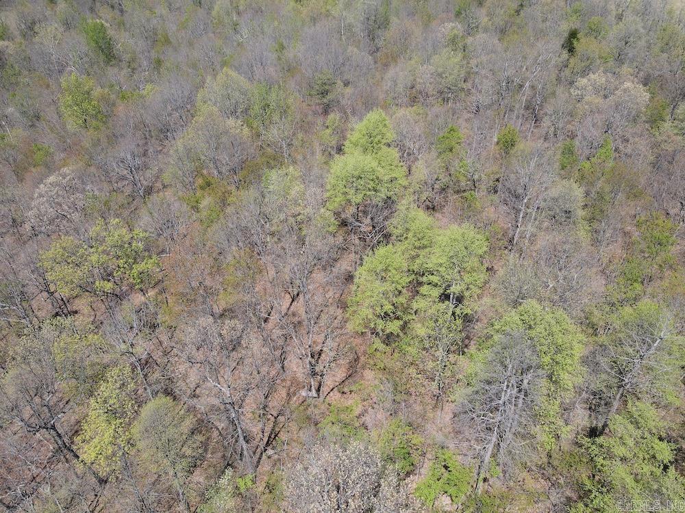 TBD Liberty Road  Leslie, AR