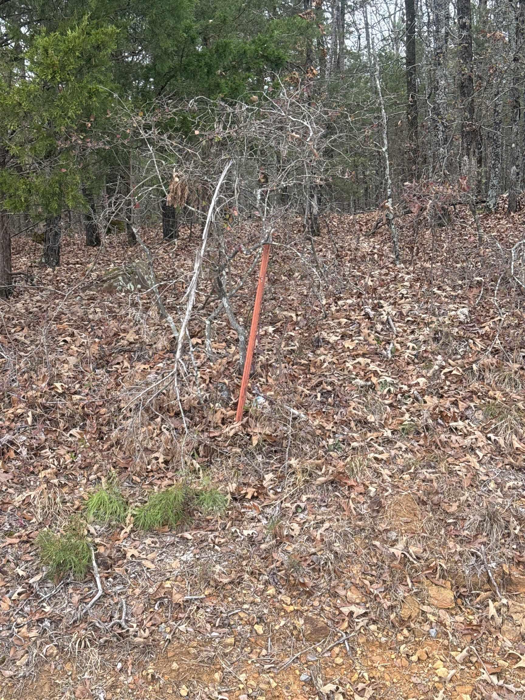 Lot 4 Quachita  Quitman, AR