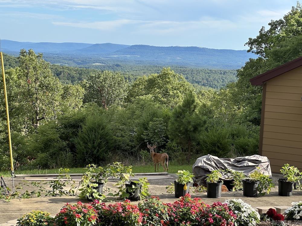 227 NC 3690  Harrison, AR