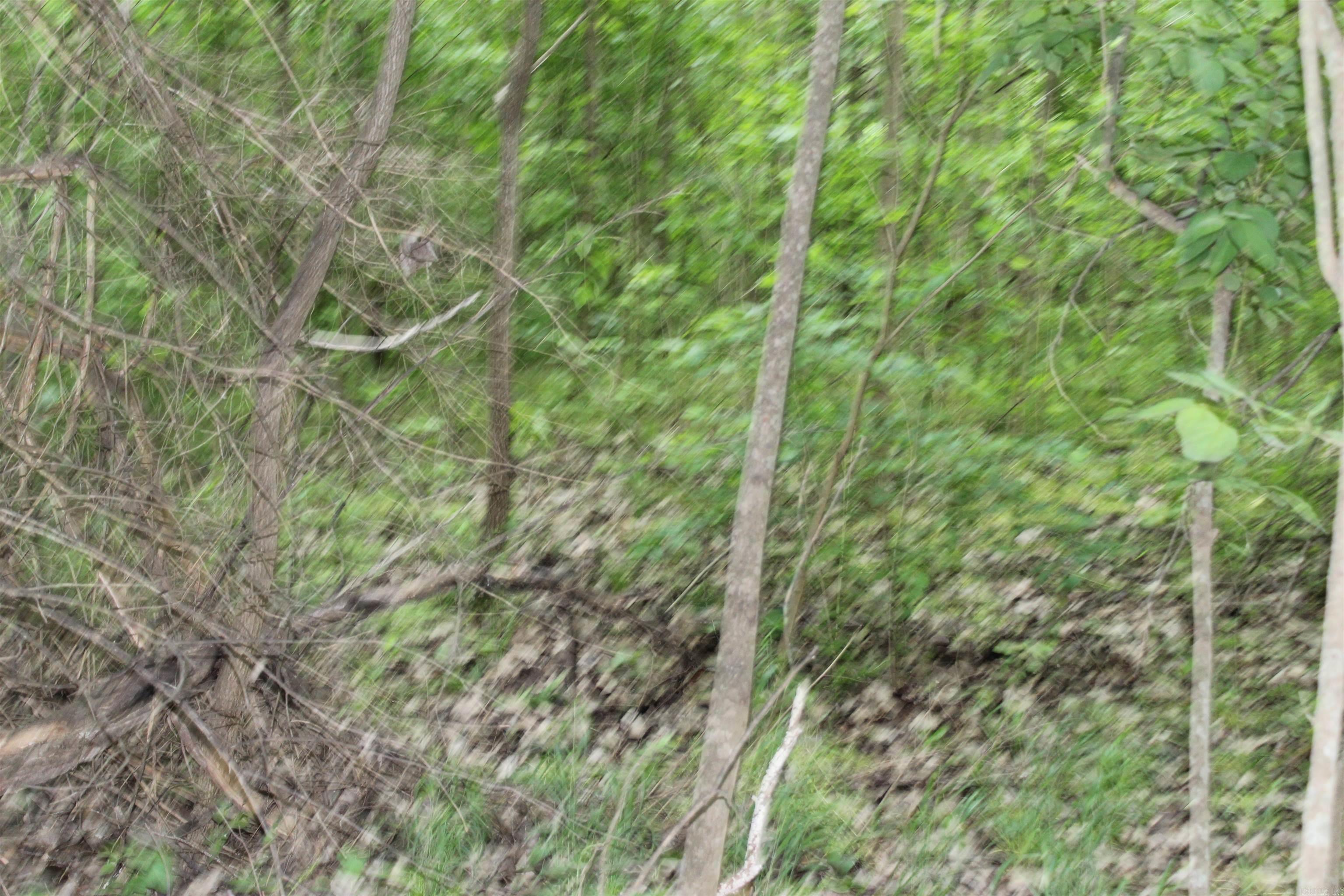 0 County Rd 157 River Ridge Estates  Guion, AR