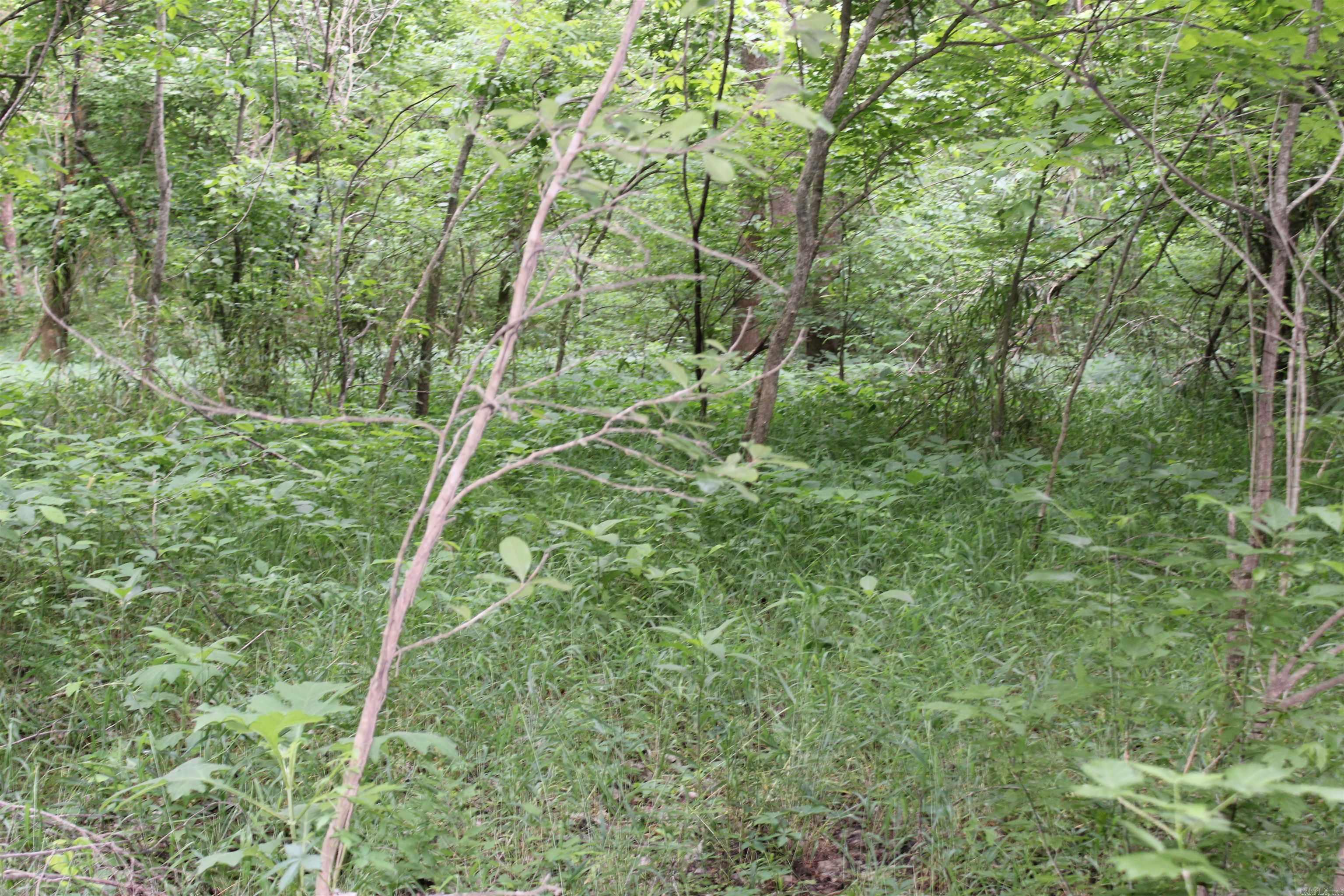 0 County Rd 157 River Ridge Estates  Guion, AR