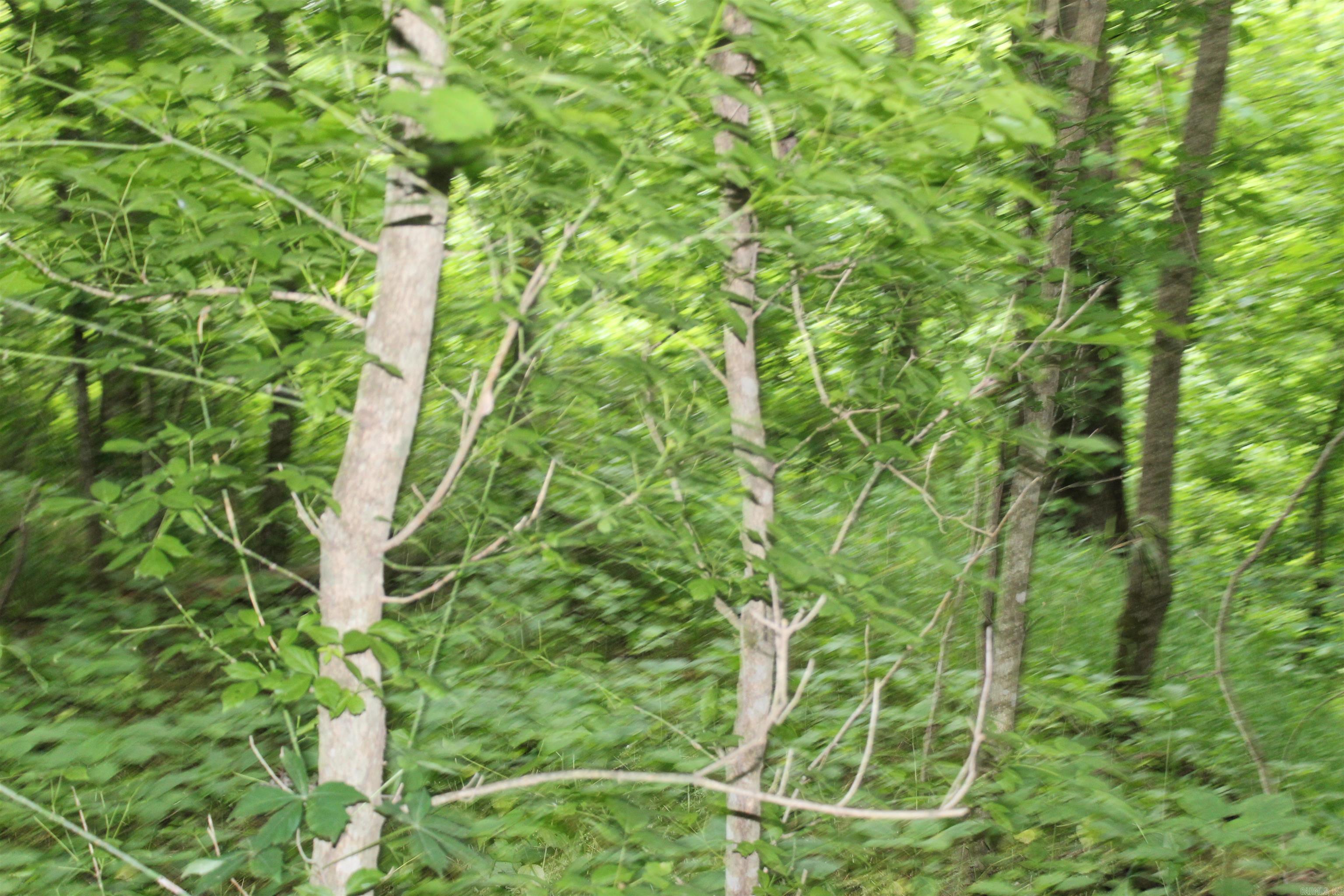 0 County Rd 157 River Ridge Estates  Guion, AR