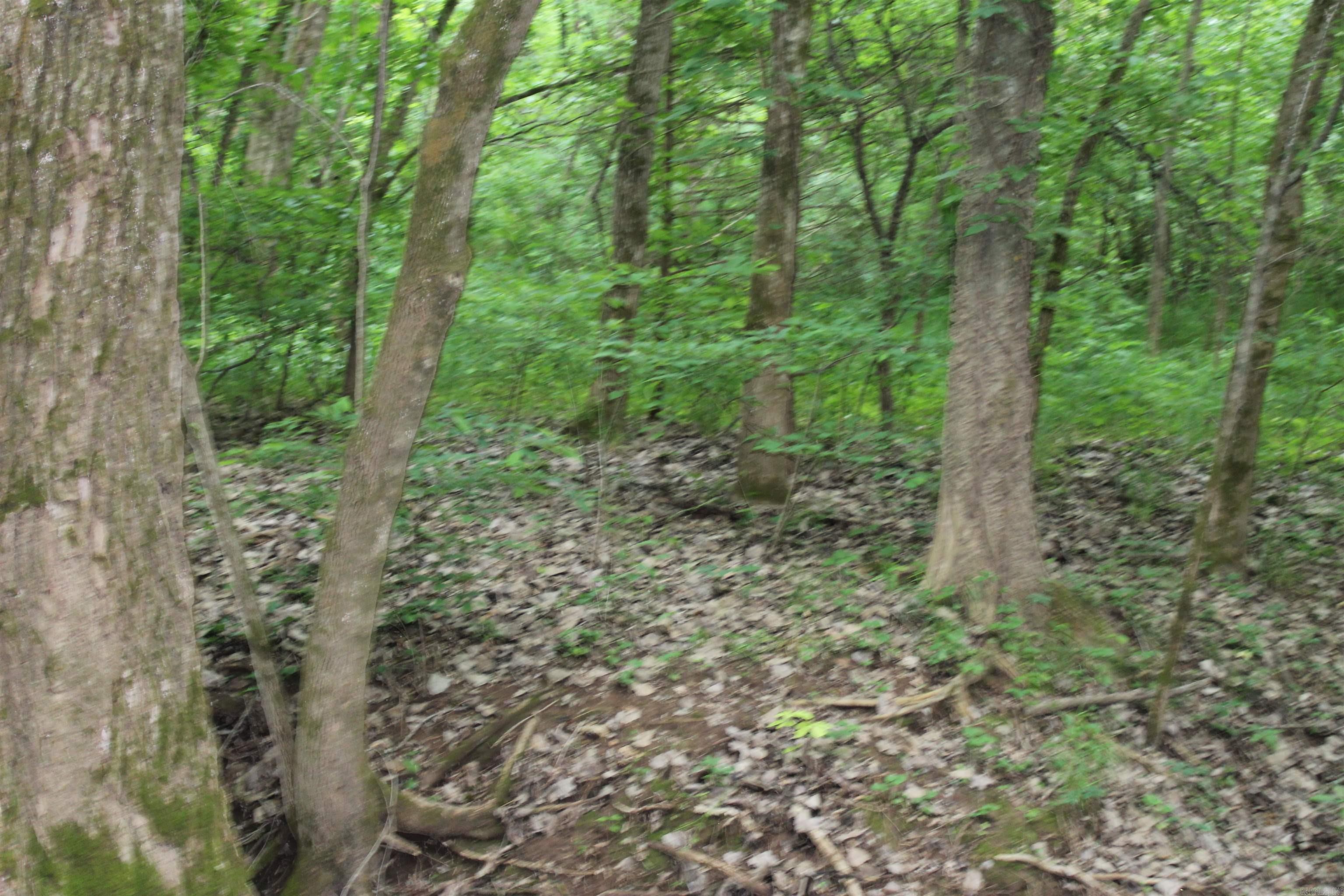00 CR 157 River Ridge Estates  Guion, AR