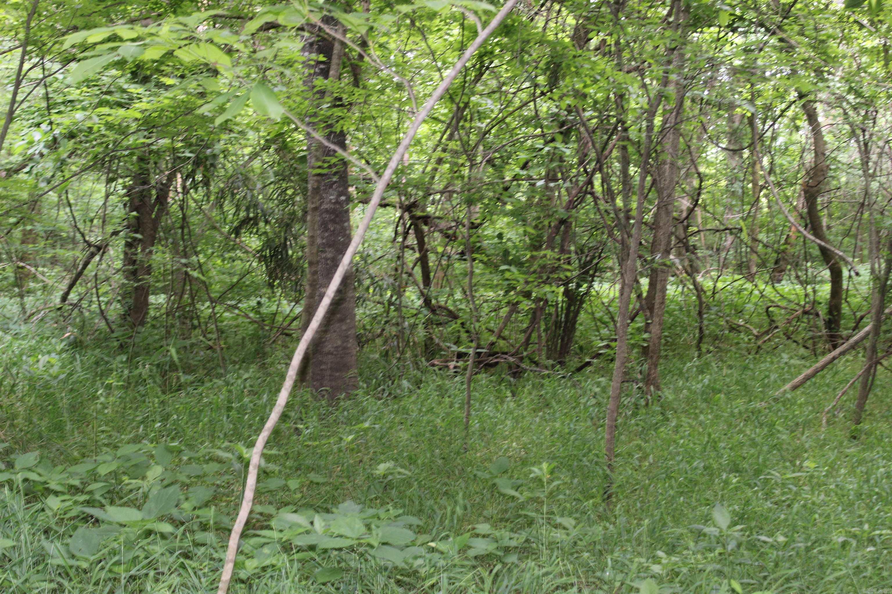 00 CR 157 River Ridge Estates  Guion, AR