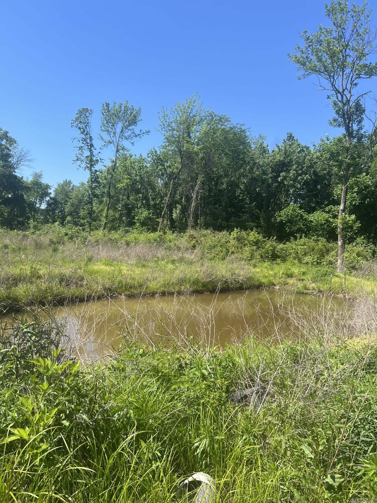 16 Caney Meadows Dr  Plumerville, AR
