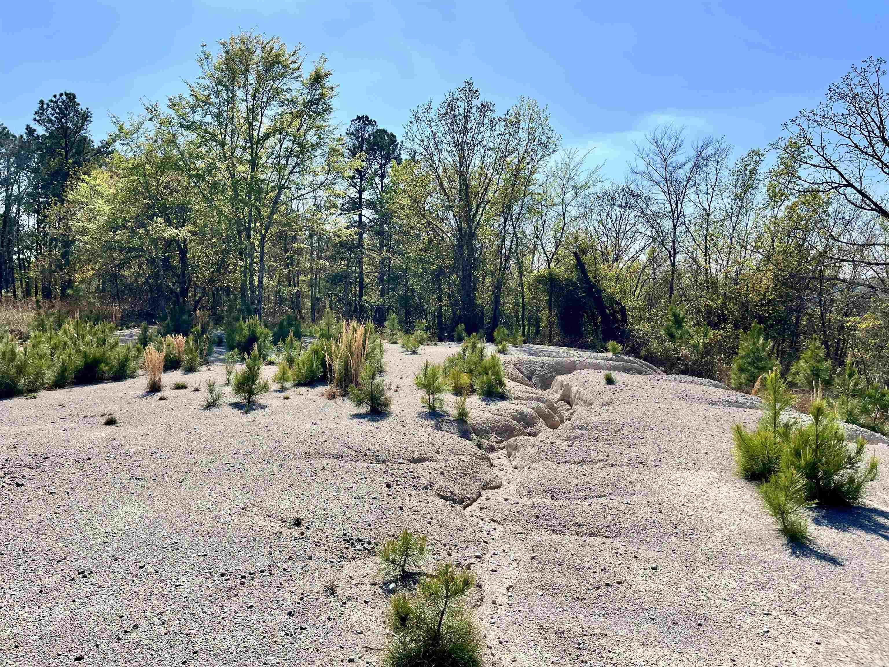 4664 E Grand Ave  Hot Springs, AR