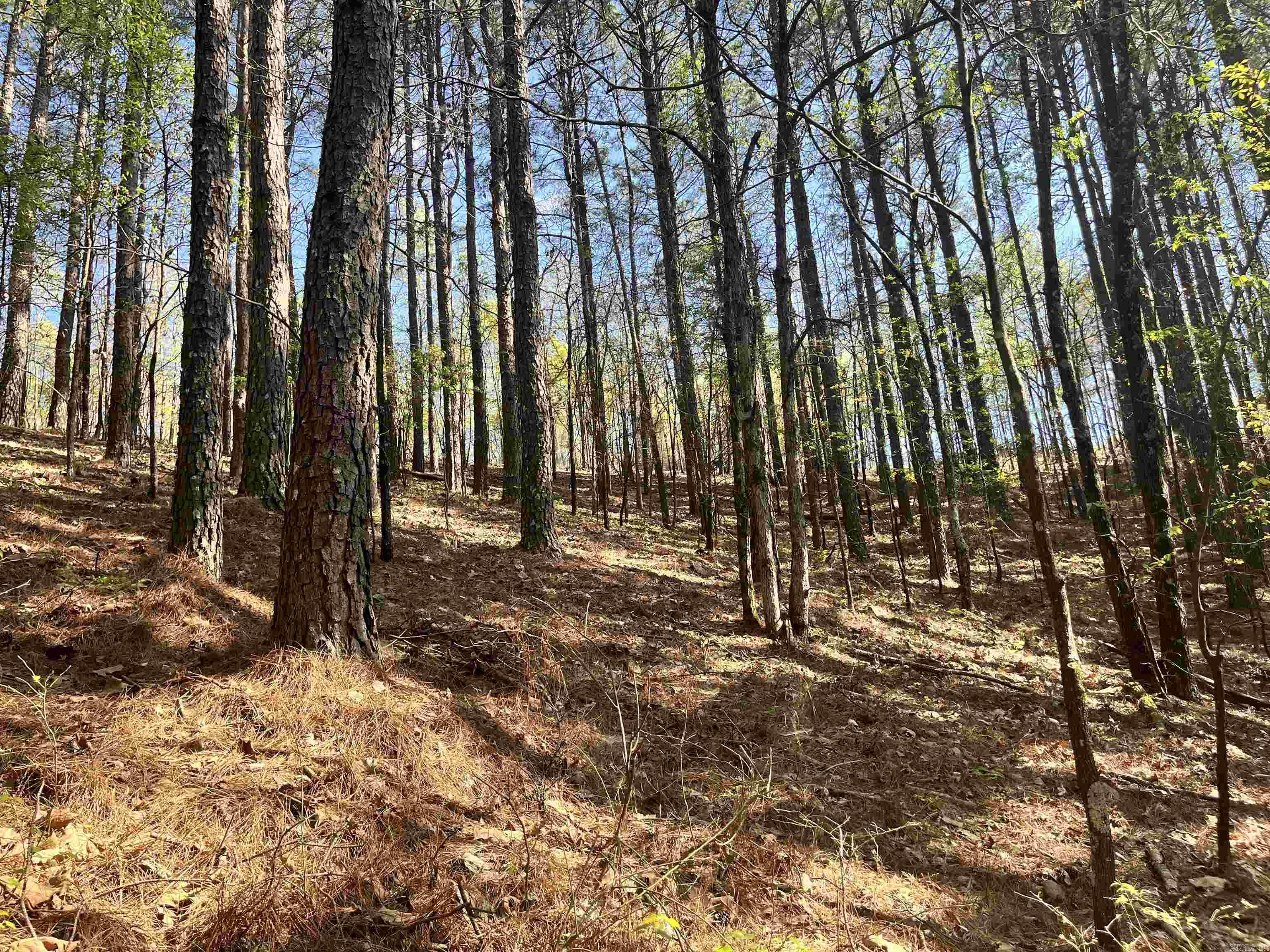4664 E Grand Ave  Hot Springs, AR