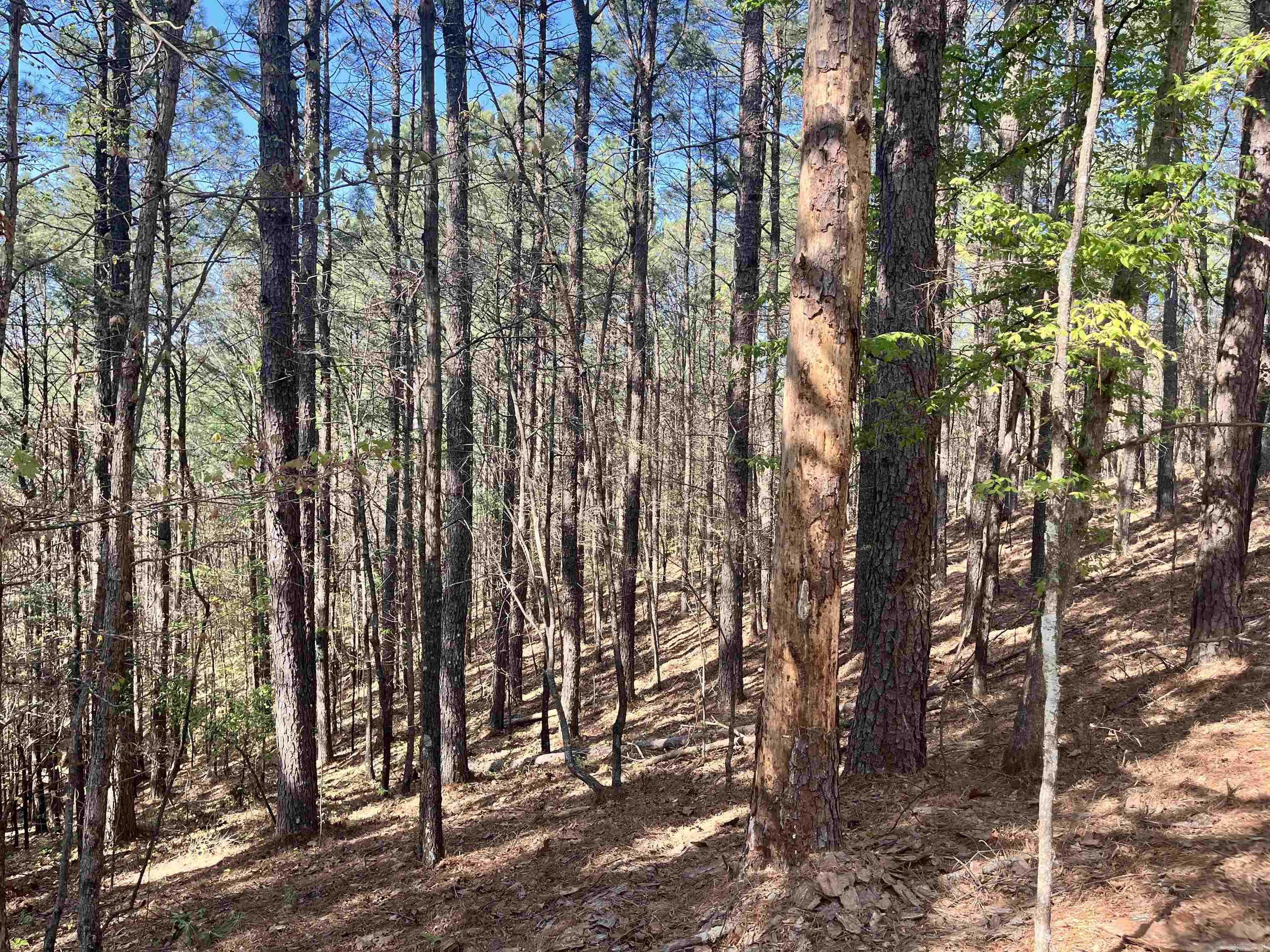 4664 E Grand Ave  Hot Springs, AR