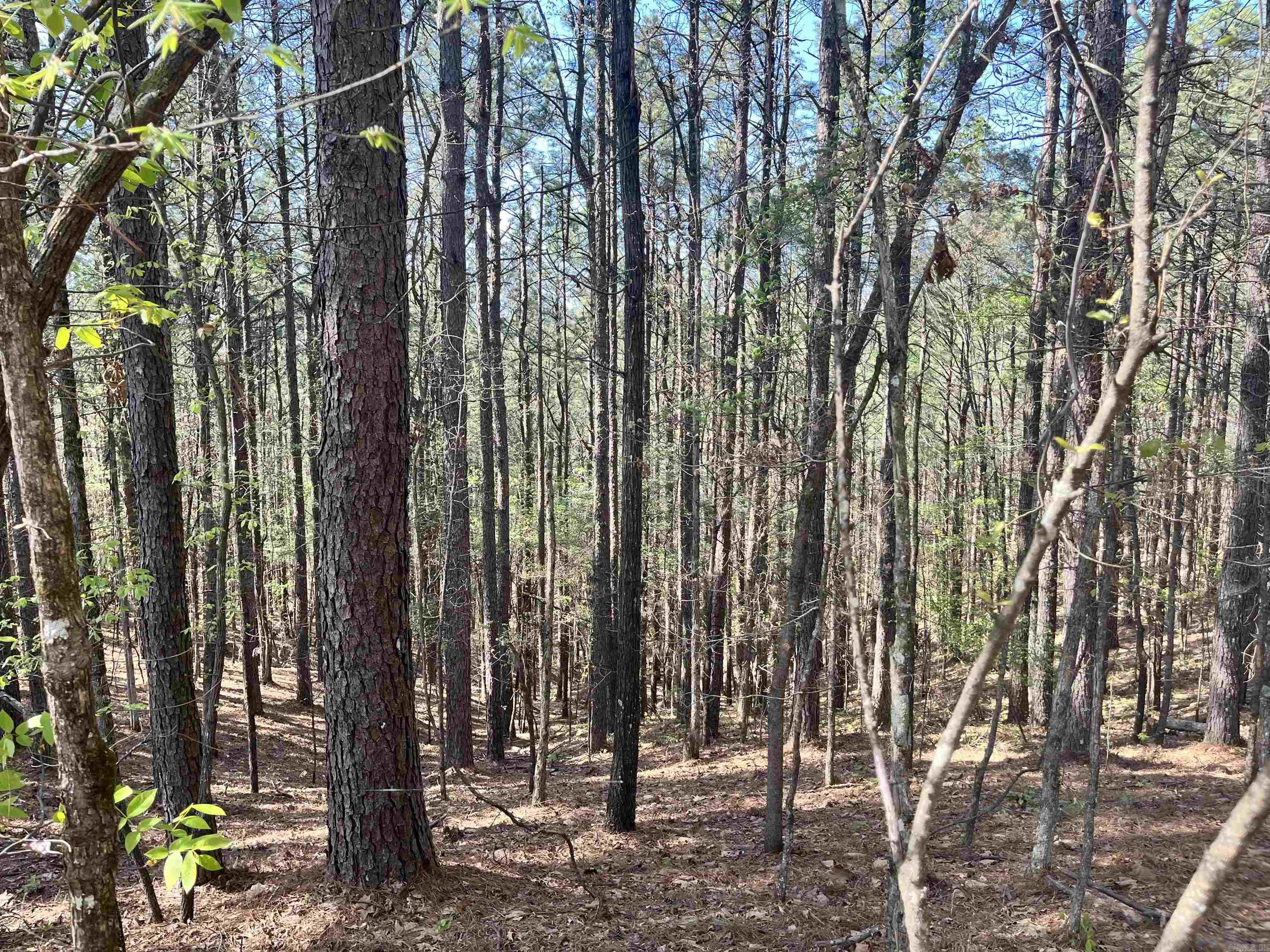 4664 E Grand Ave  Hot Springs, AR