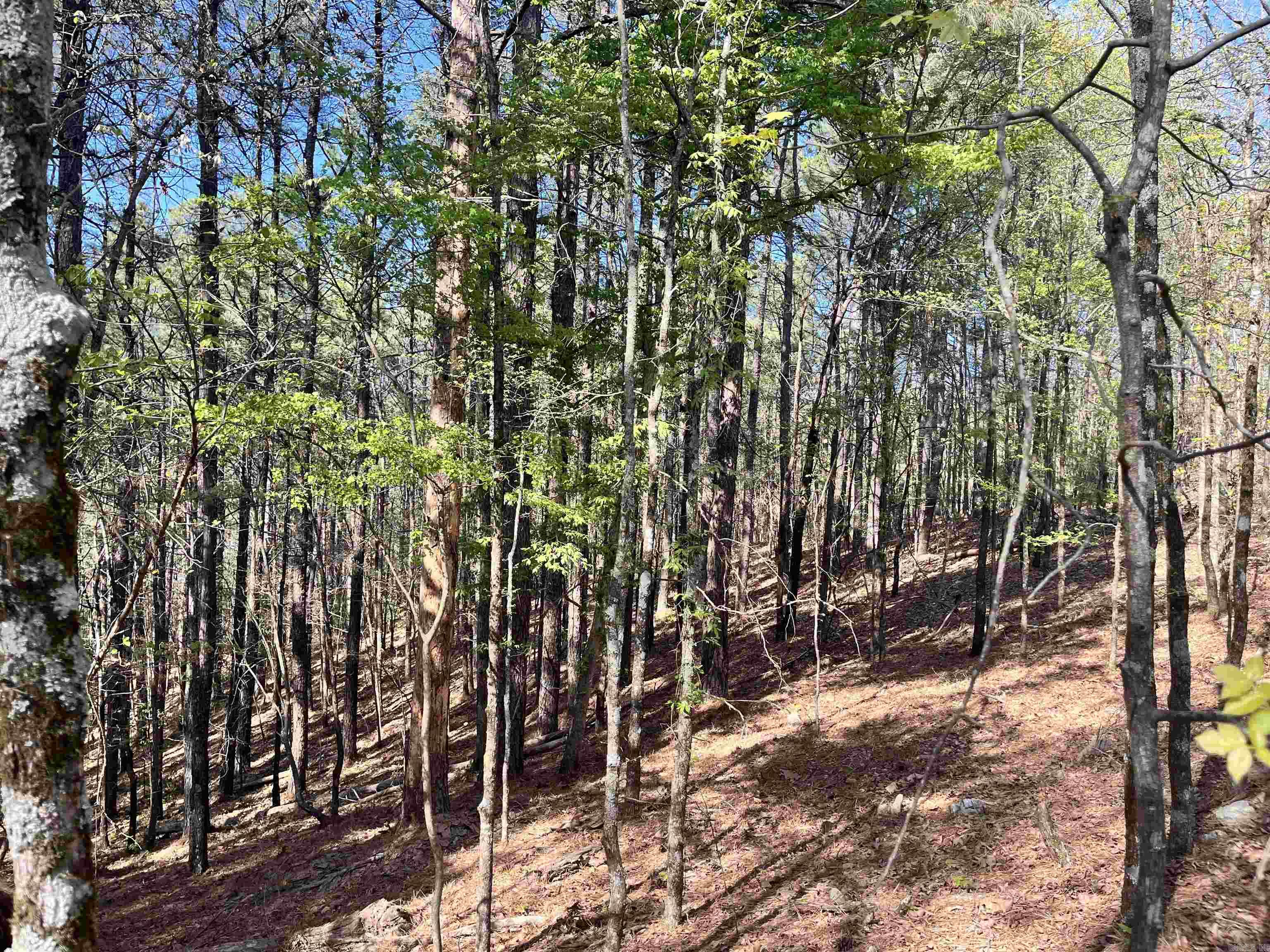 4664 E Grand Ave  Hot Springs, AR