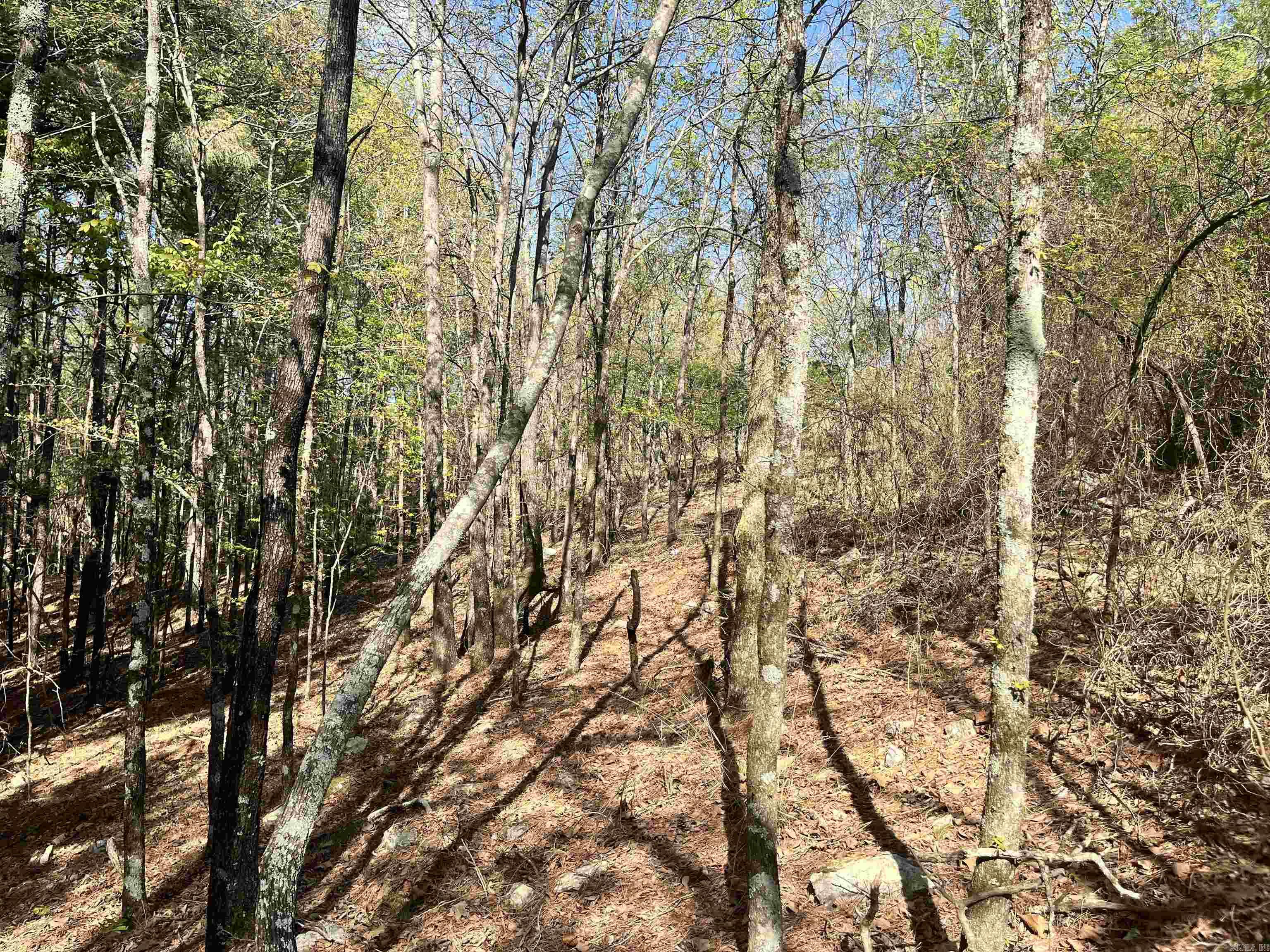 4664 E Grand Ave  Hot Springs, AR