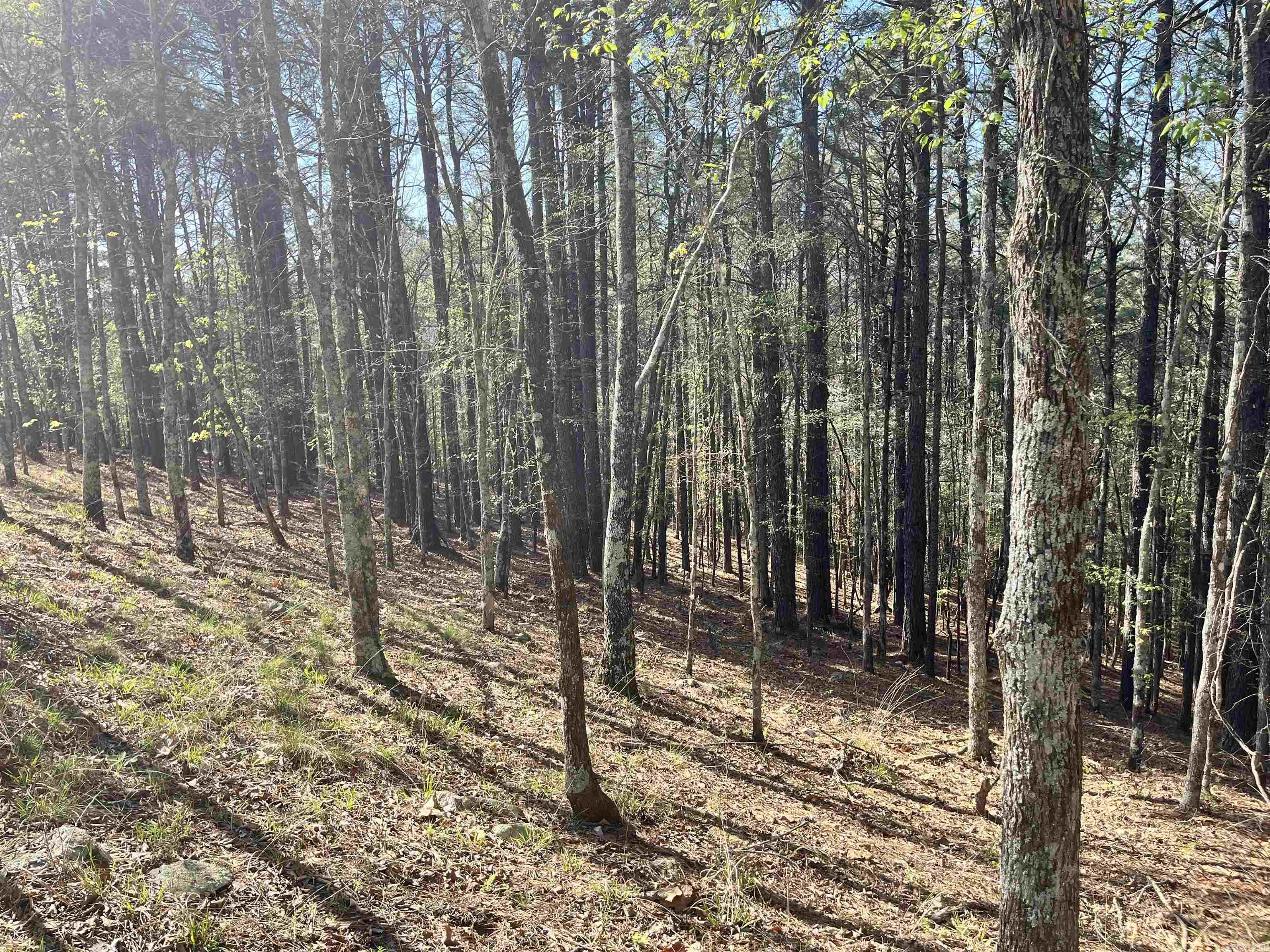 4664 E Grand Ave  Hot Springs, AR