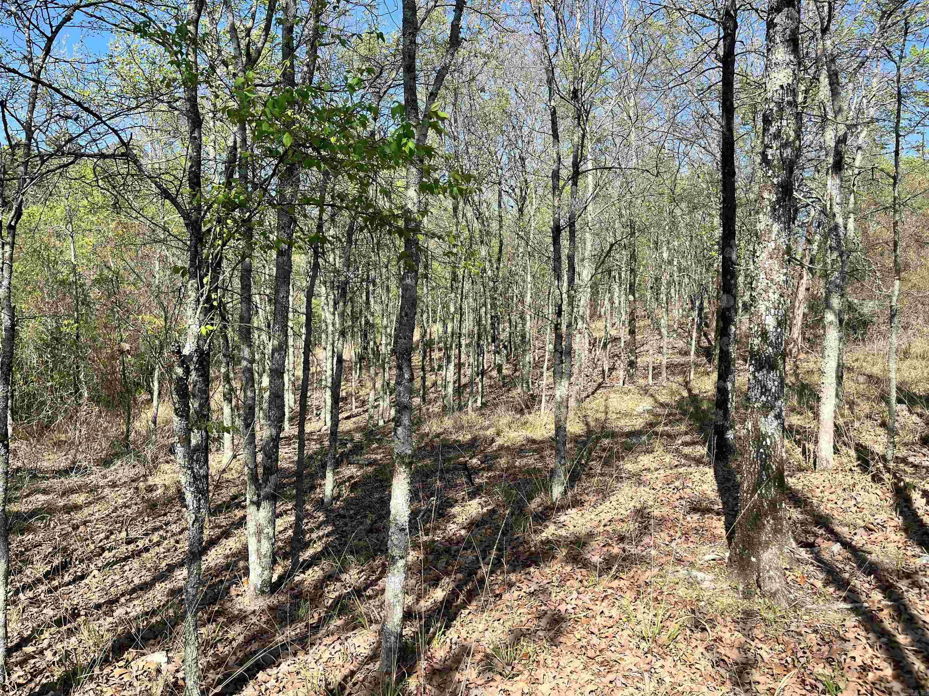 4664 E Grand Ave  Hot Springs, AR