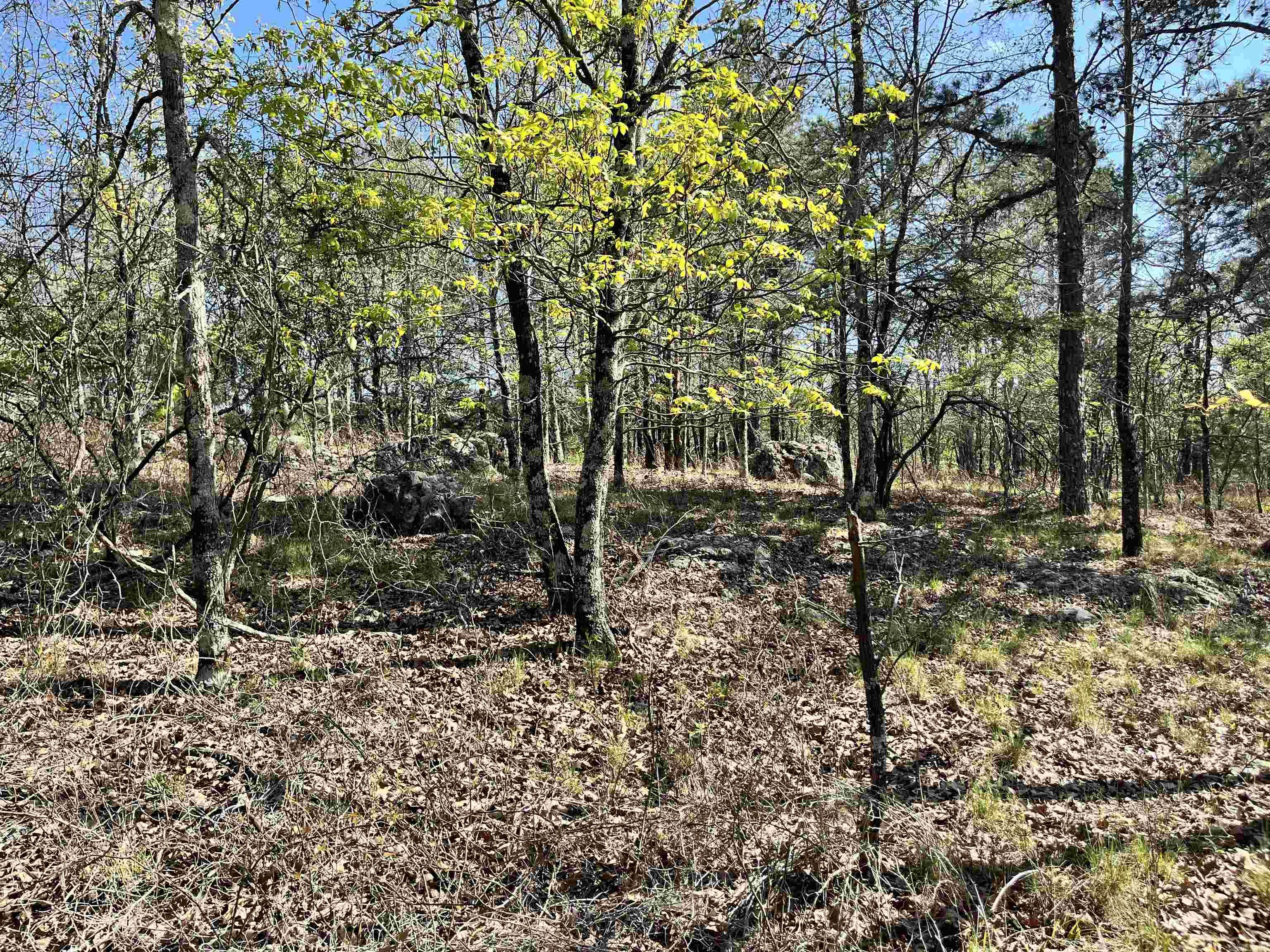 4664 E Grand Ave  Hot Springs, AR
