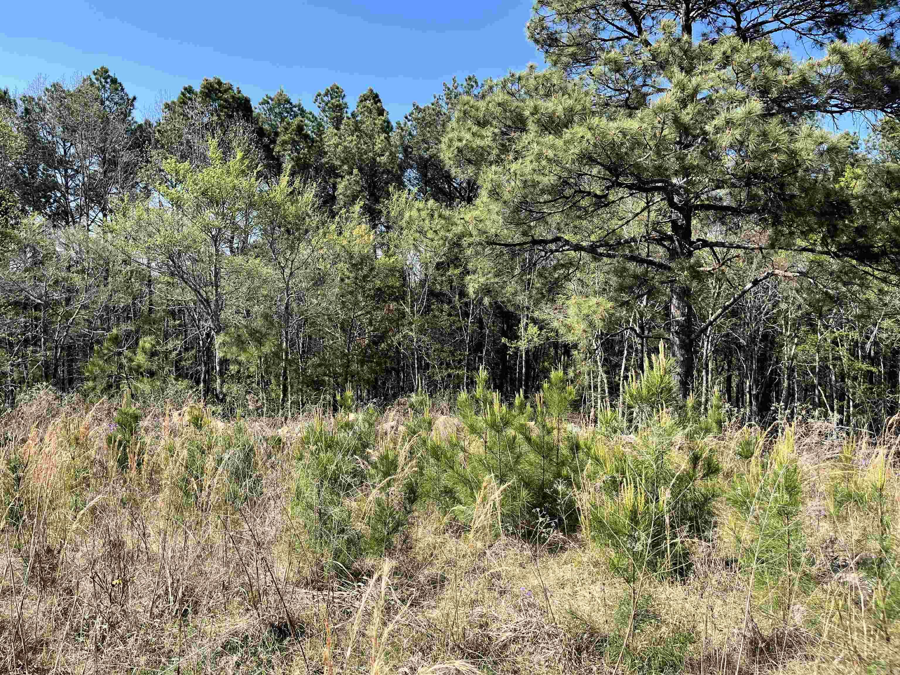 4664 E Grand Ave  Hot Springs, AR