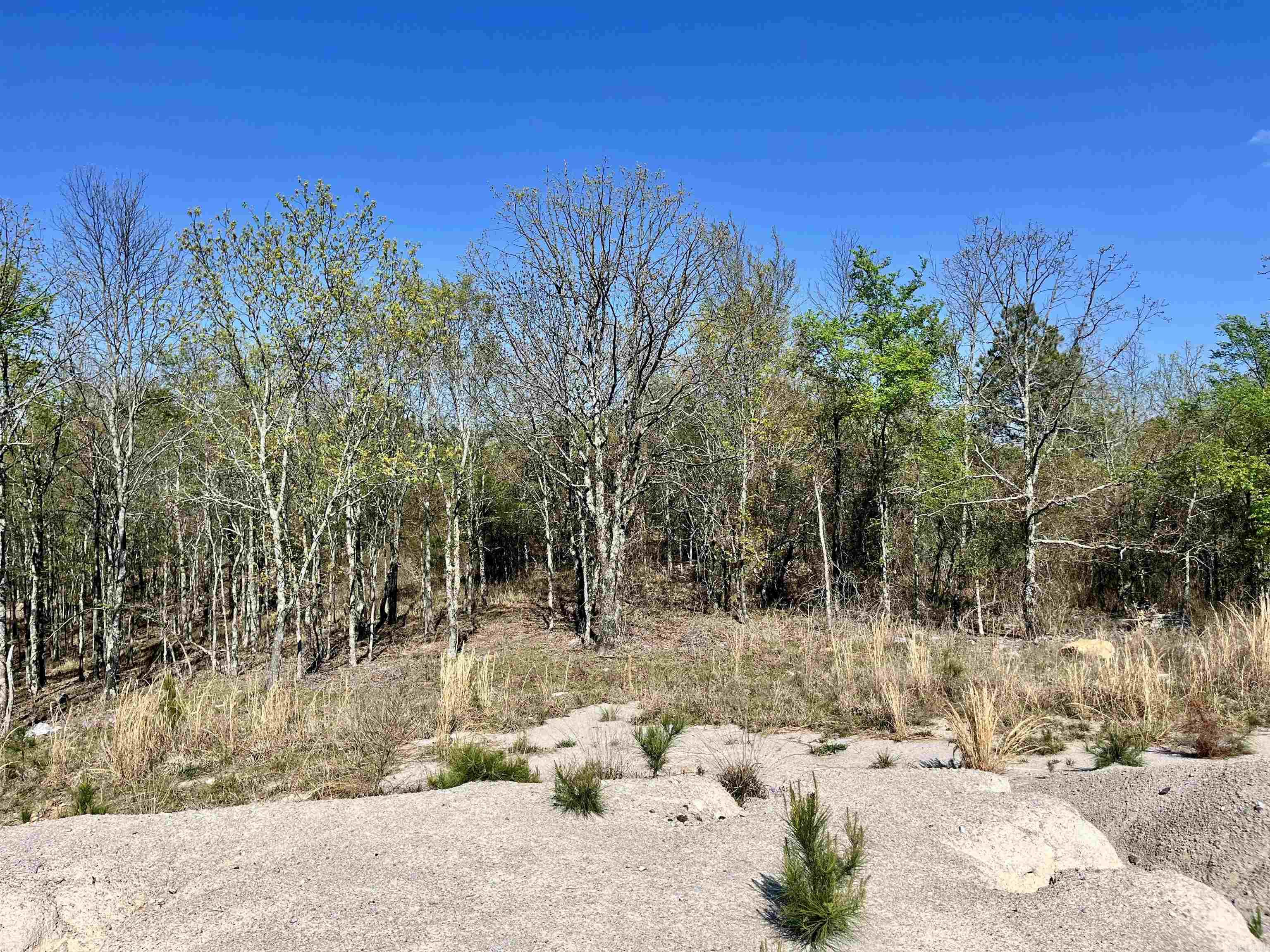 4664 E Grand Ave  Hot Springs, AR