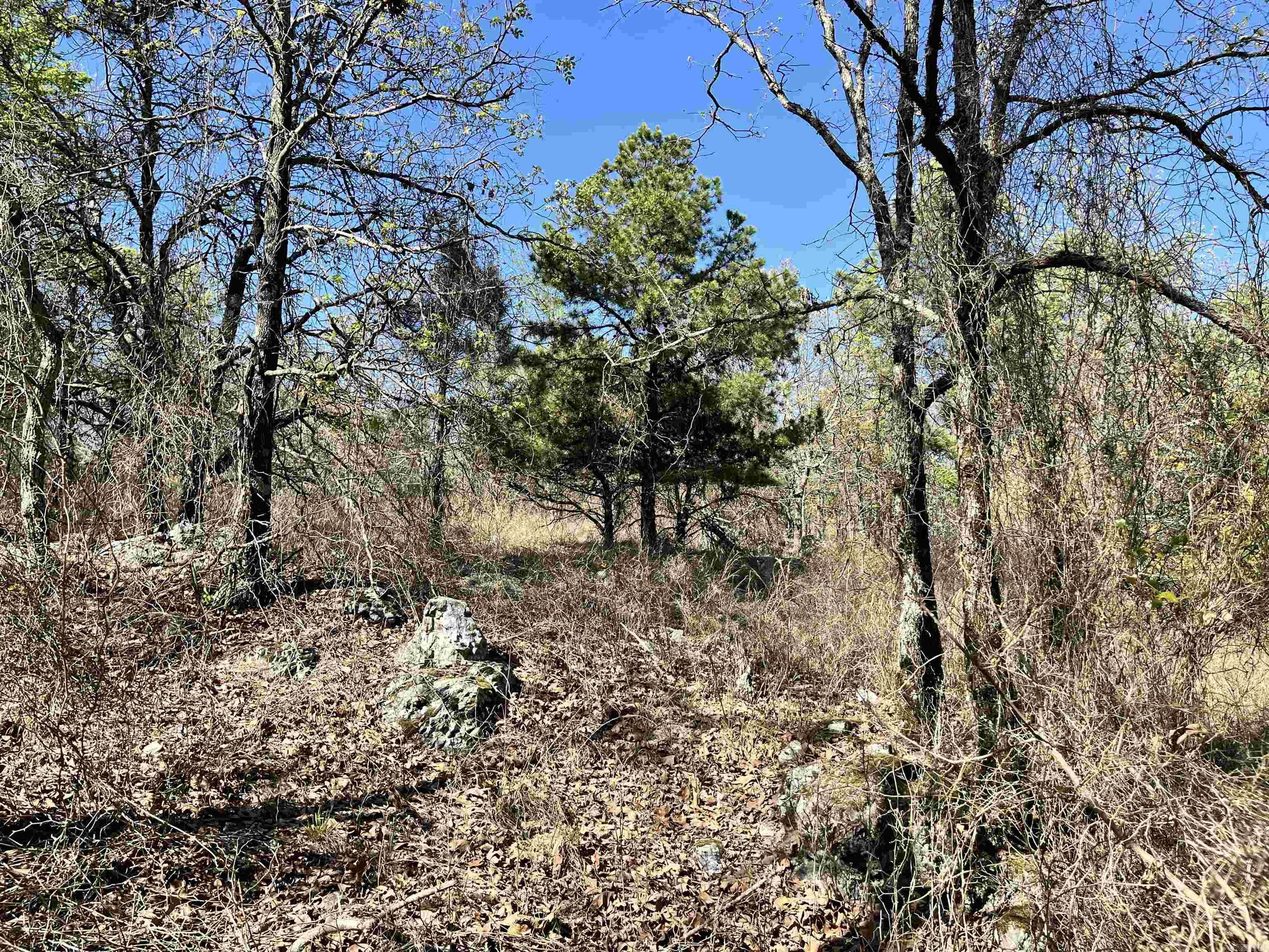 4664 E Grand Ave  Hot Springs, AR