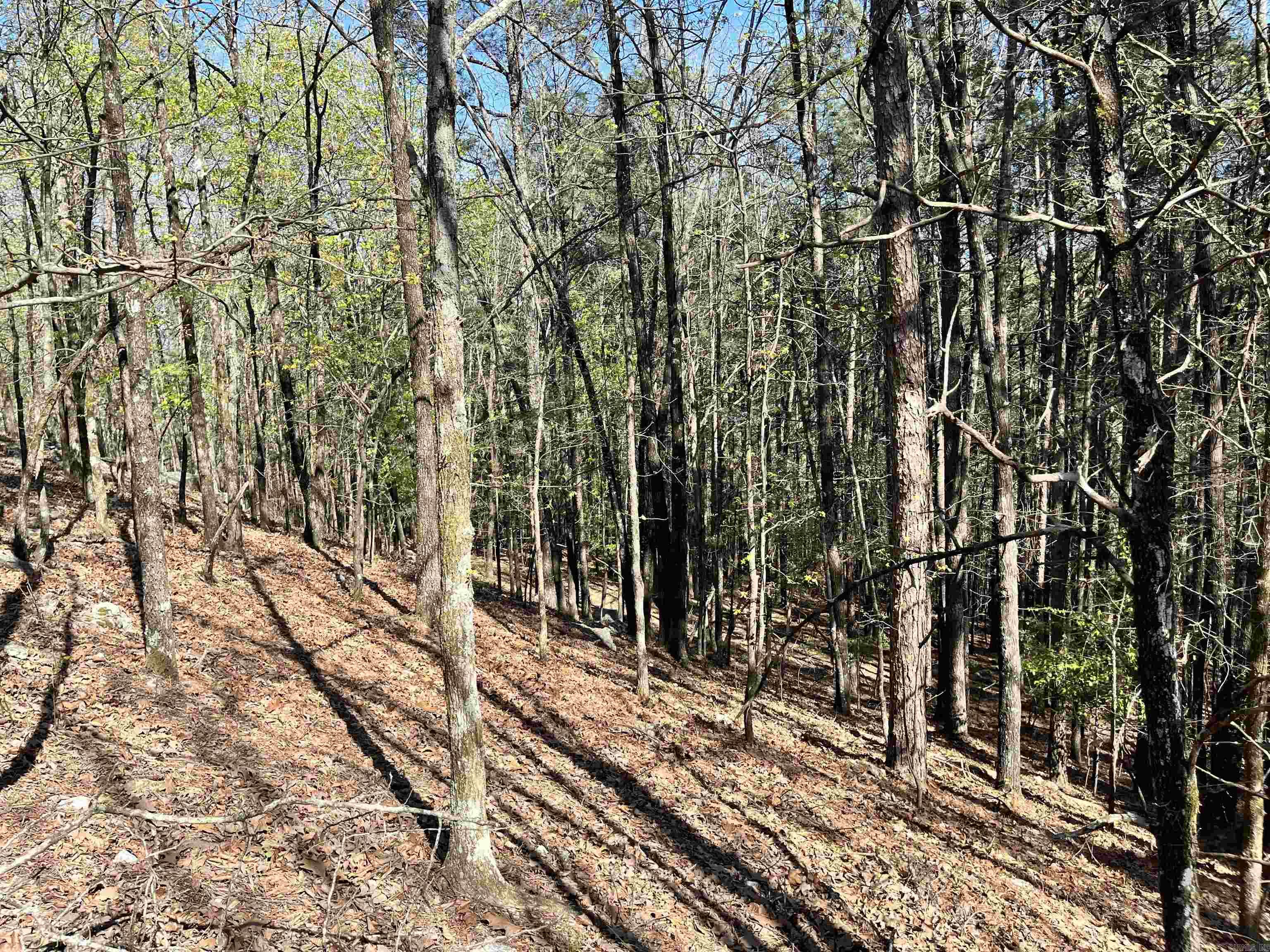 4664 E Grand Ave  Hot Springs, AR