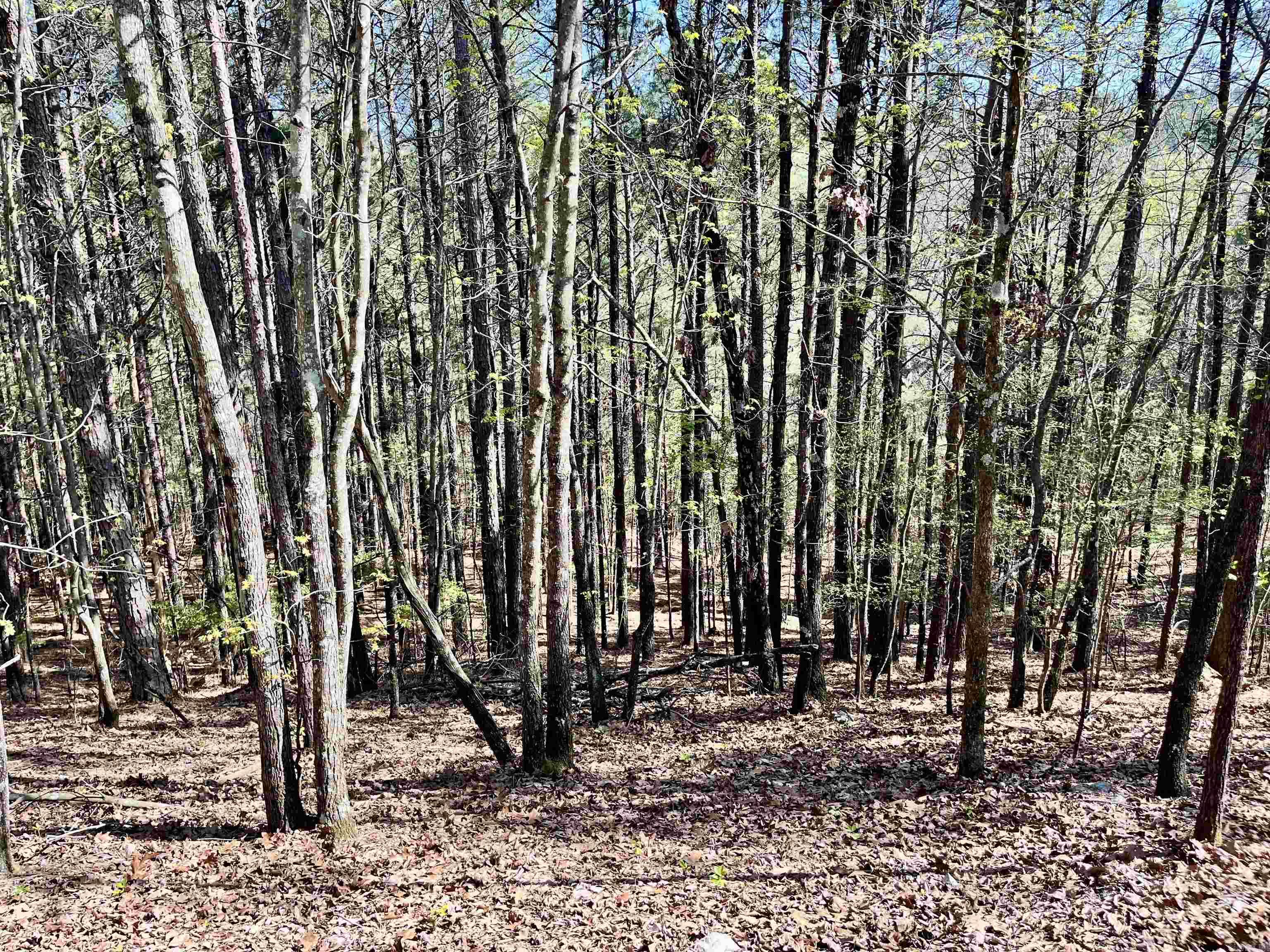 4664 E Grand Ave  Hot Springs, AR