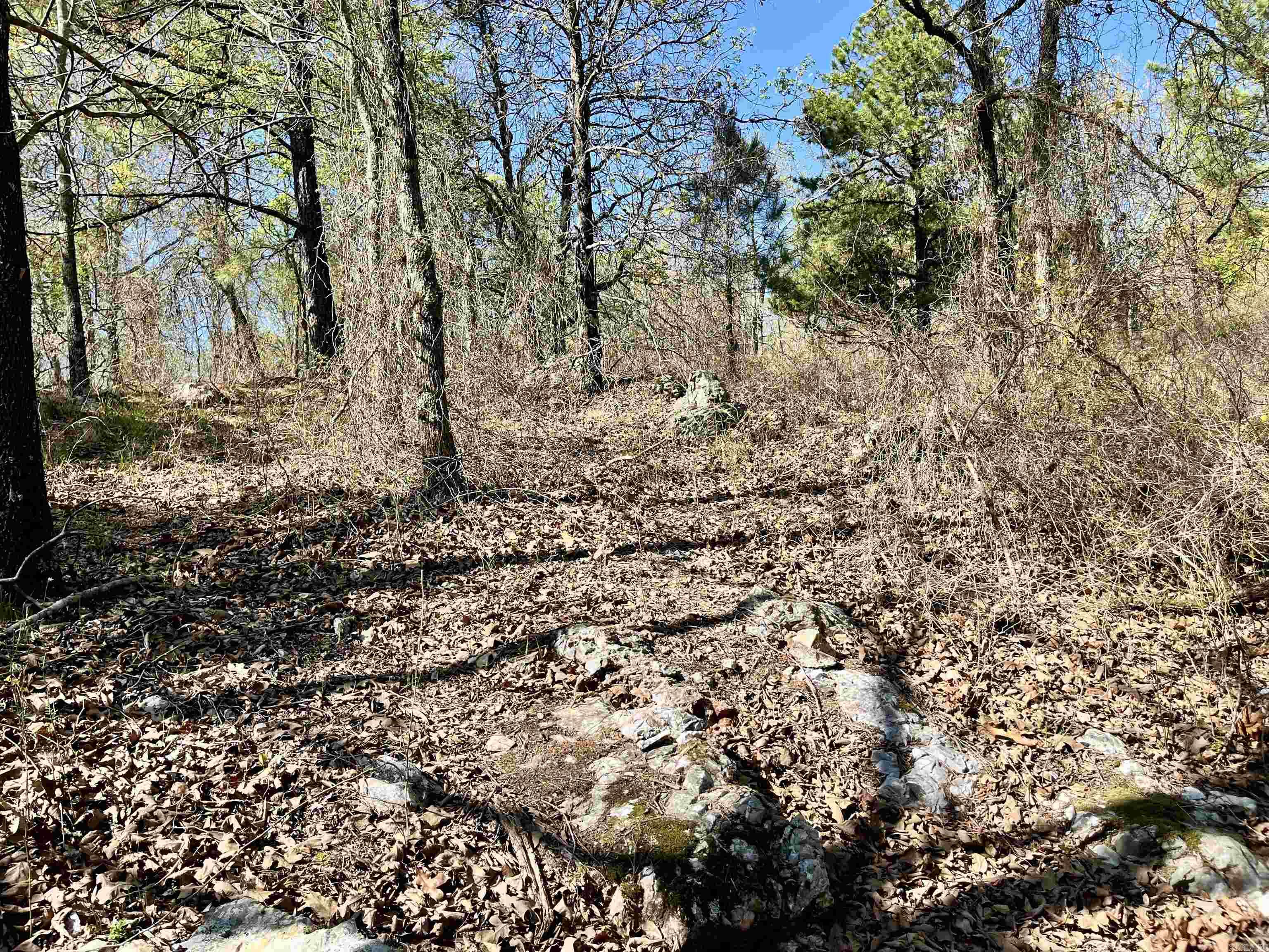 4664 E Grand Ave  Hot Springs, AR