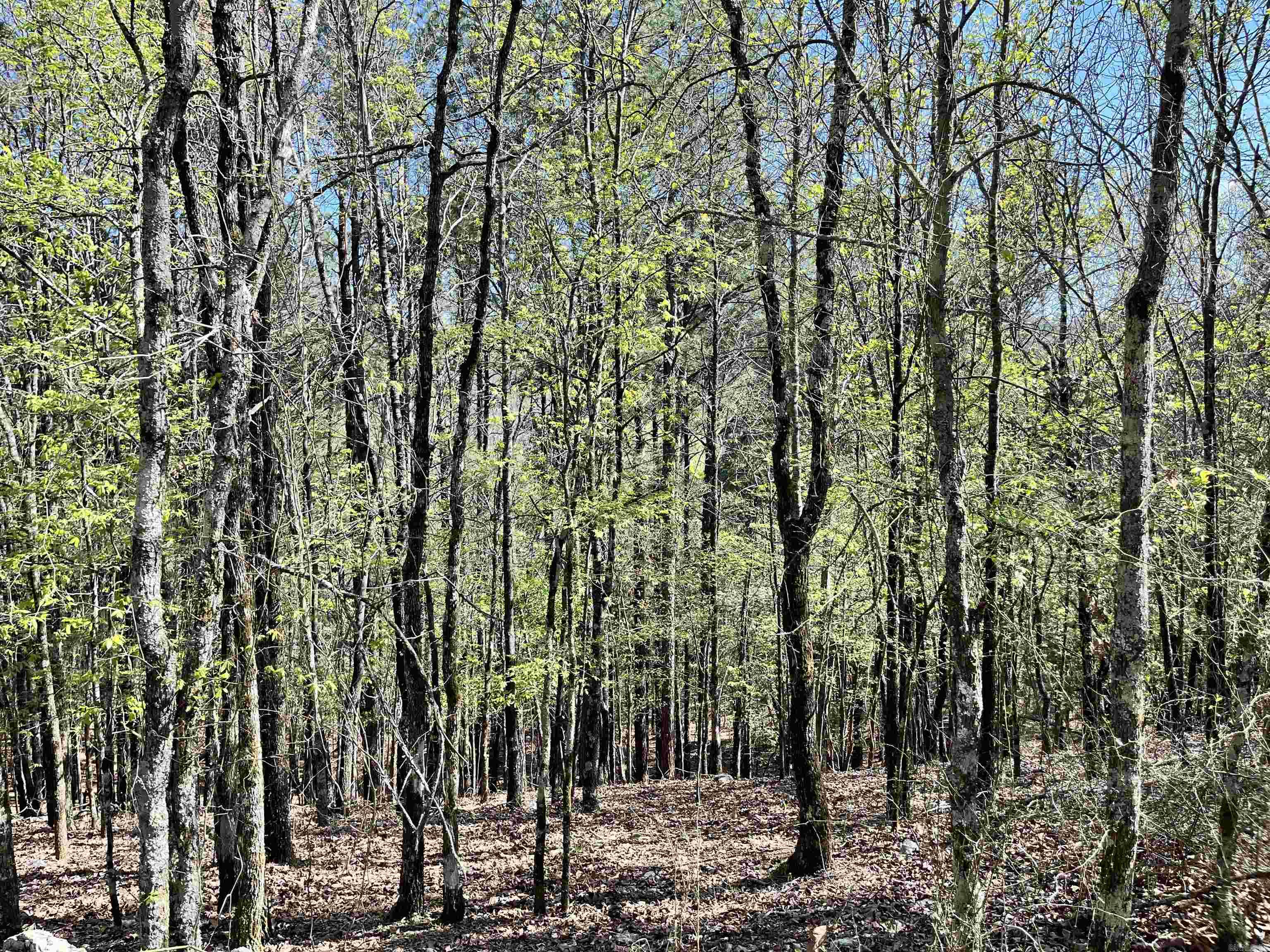 4664 E Grand Ave  Hot Springs, AR