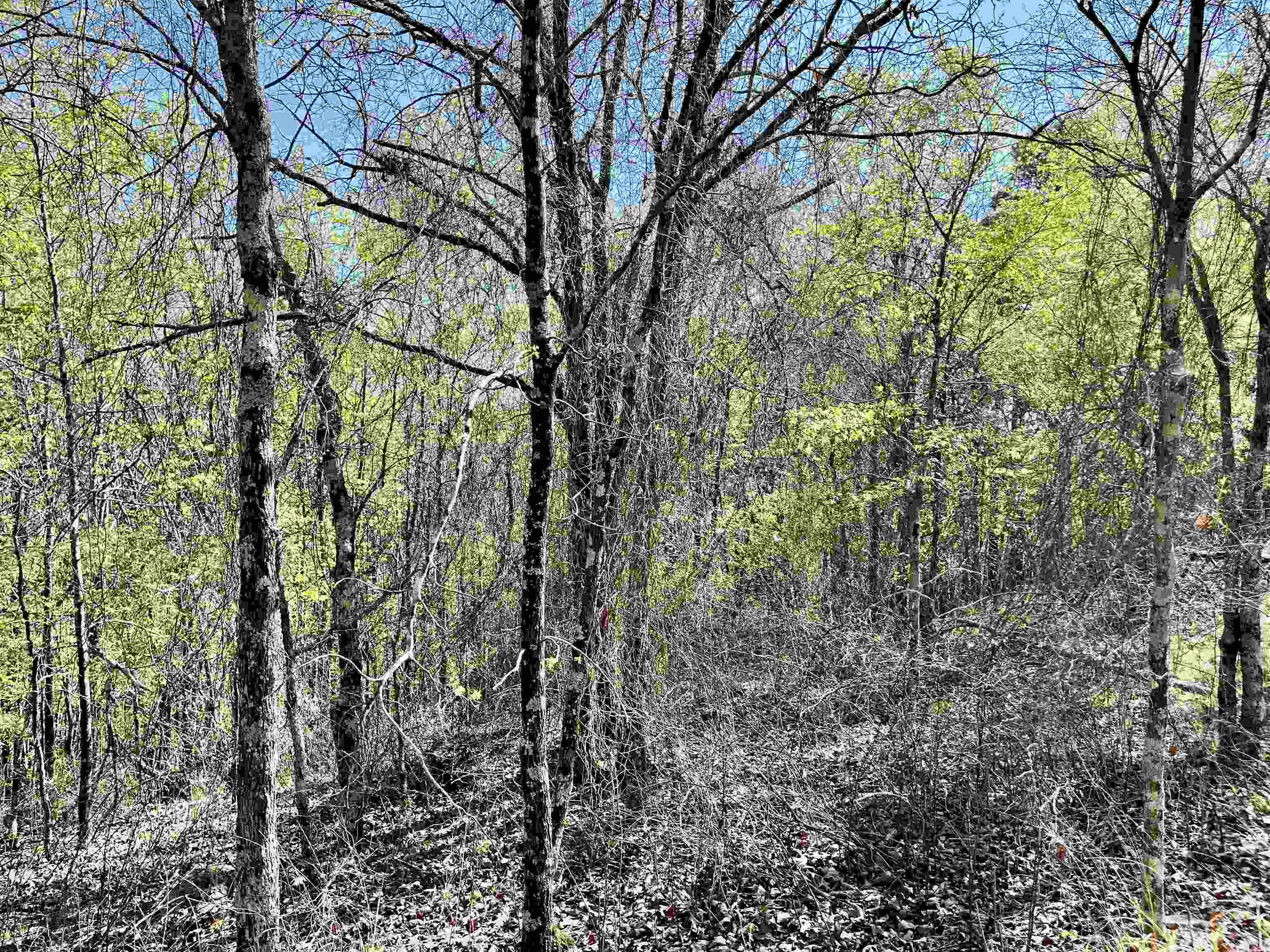 4664 E Grand Ave  Hot Springs, AR