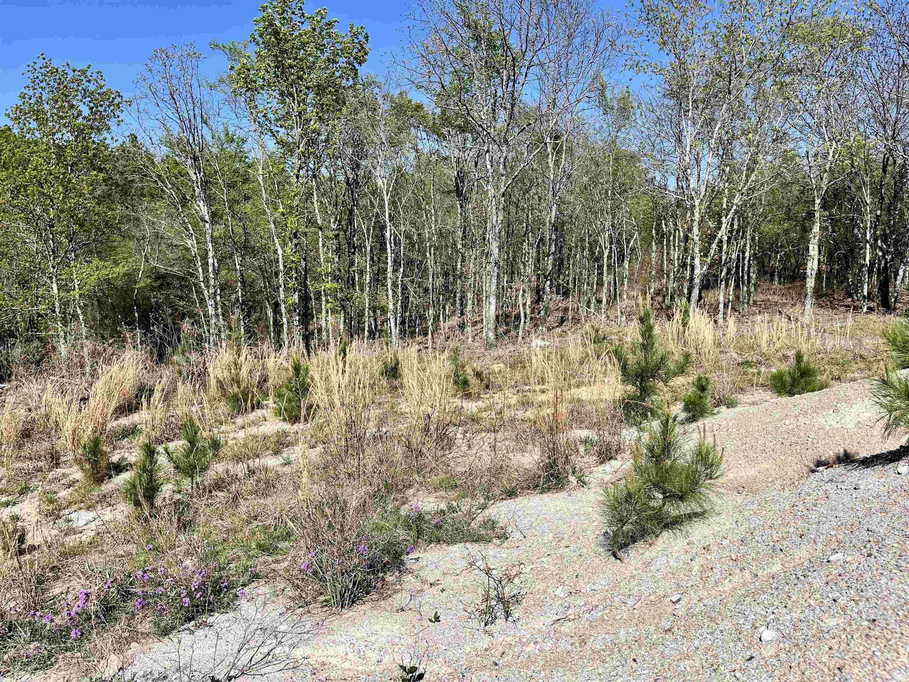 4664 E Grand Ave  Hot Springs, AR