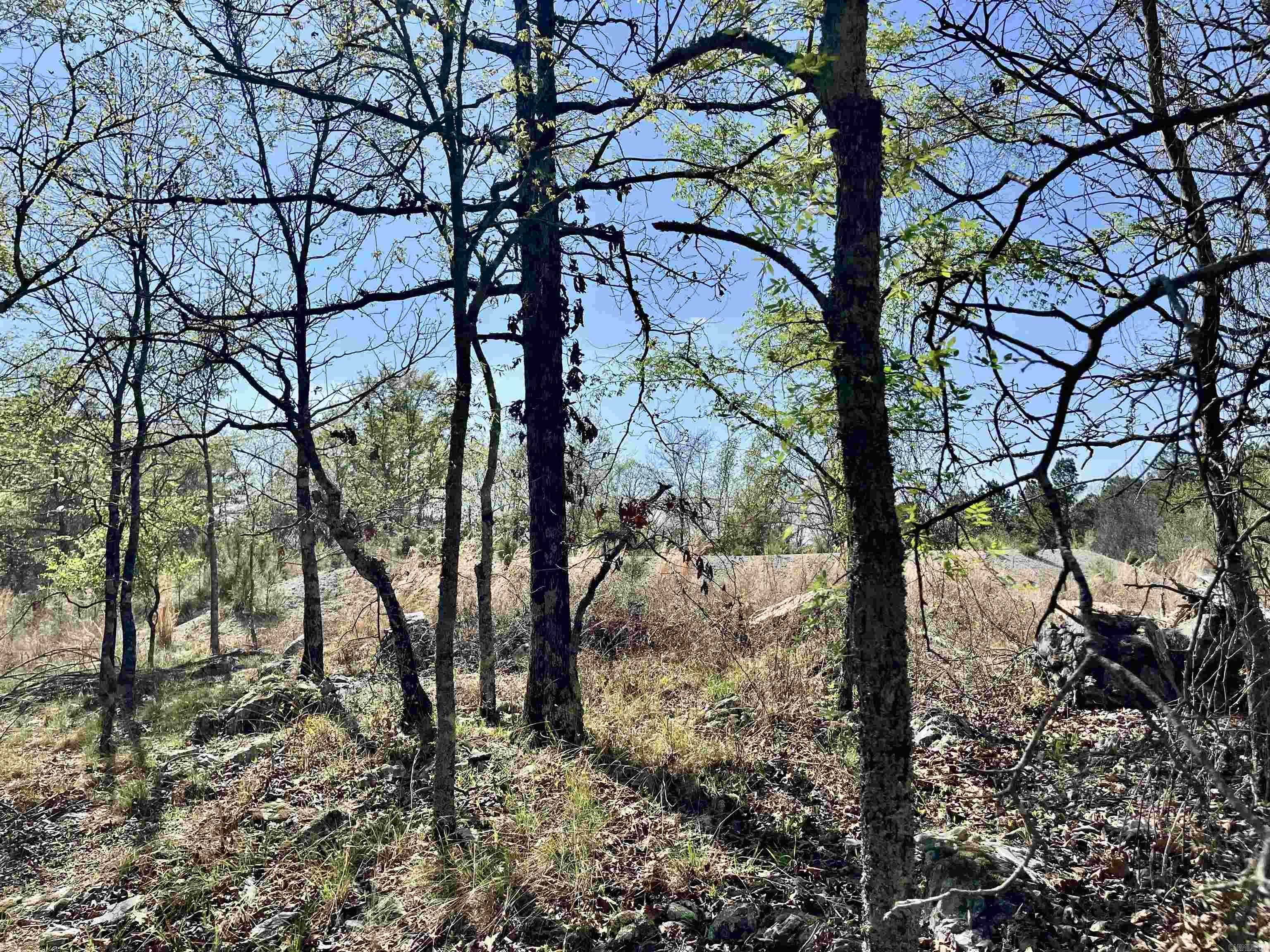 4664 E Grand Ave  Hot Springs, AR