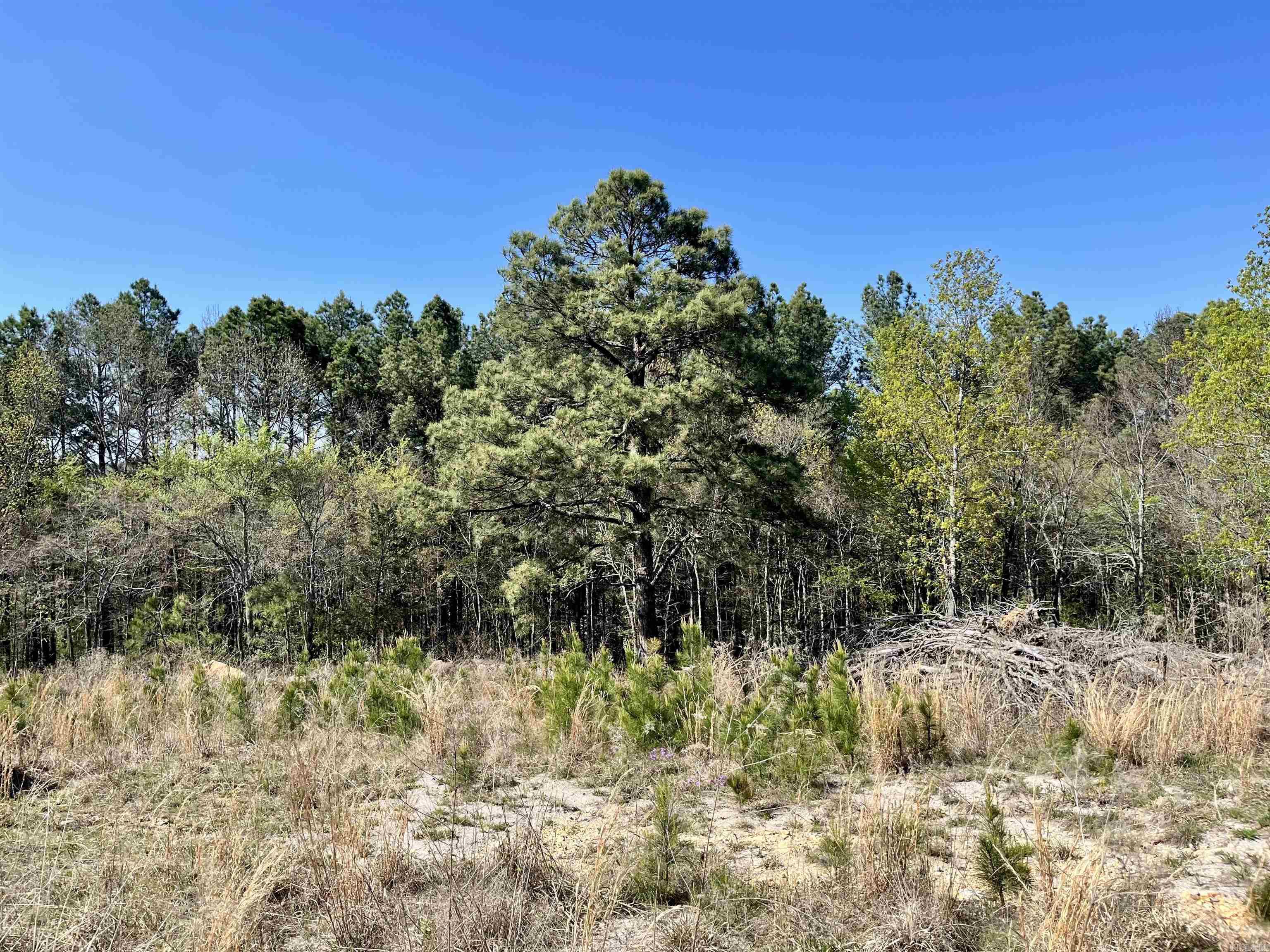 4664 E Grand Ave  Hot Springs, AR