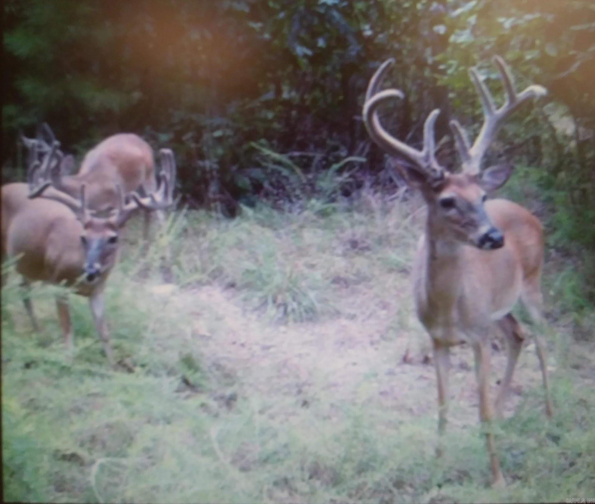 4664 E Grand Ave  Hot Springs, AR