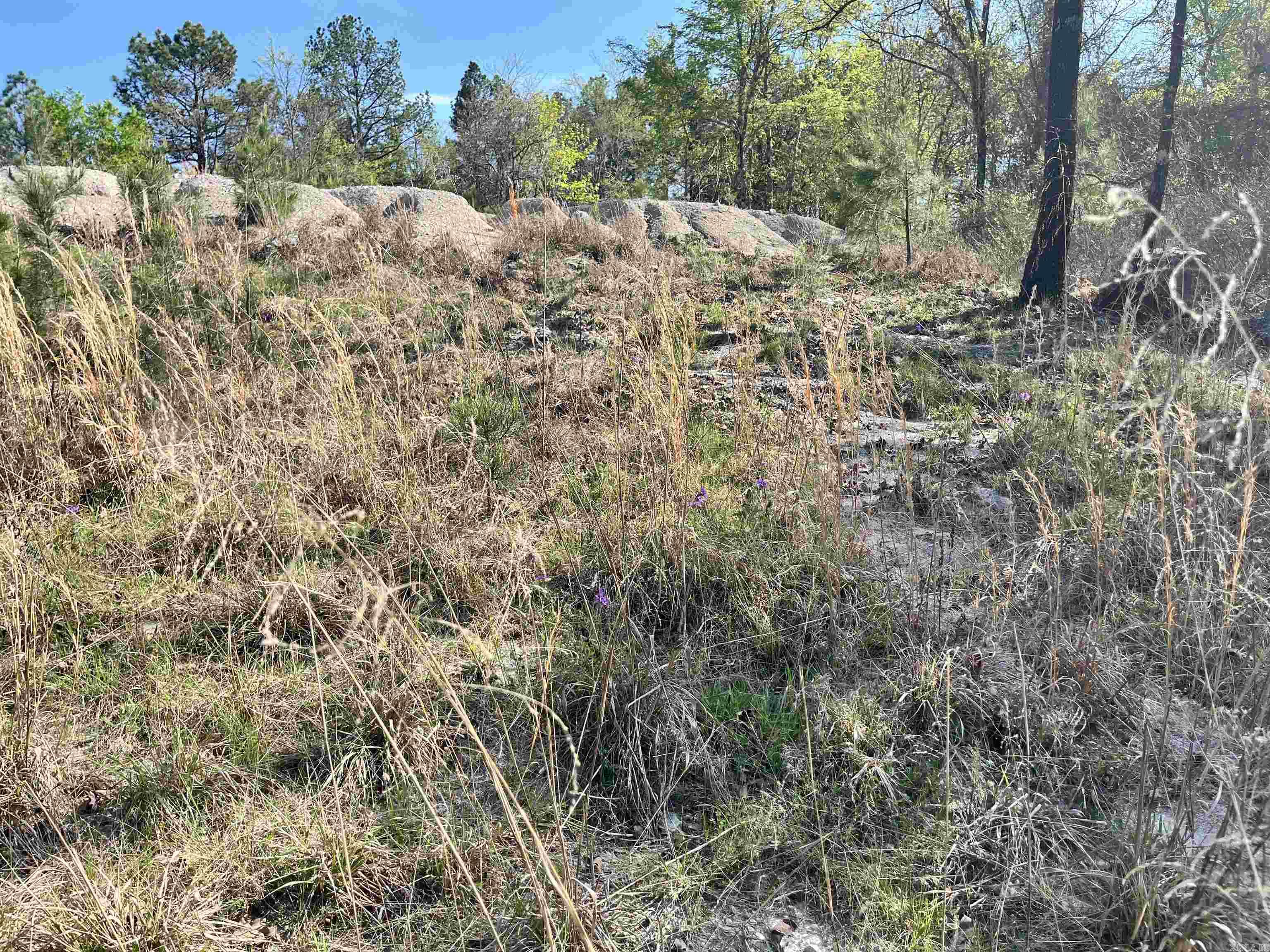 4664 E Grand Ave  Hot Springs, AR
