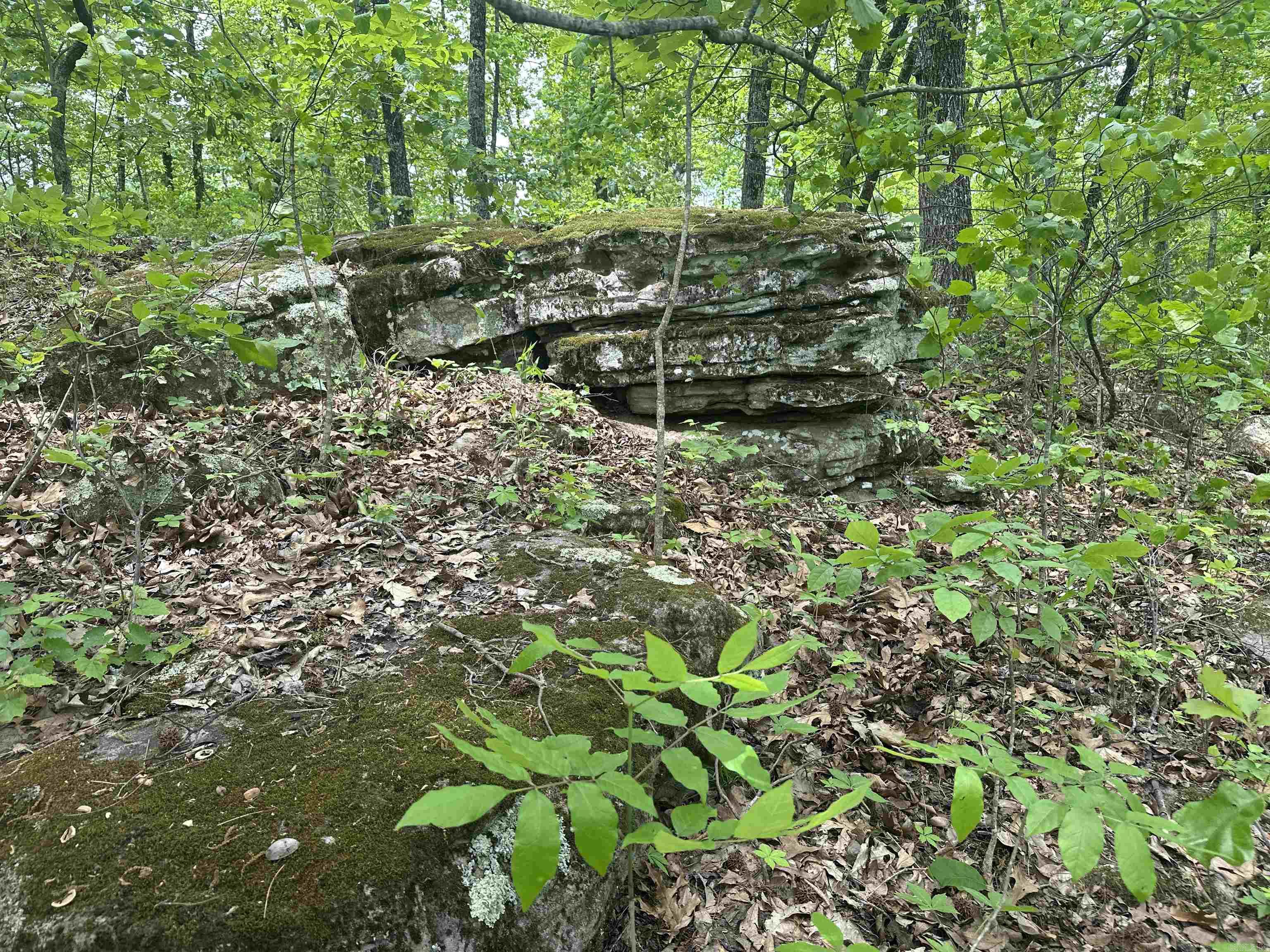 000 Holly Mtn Rd  Clinton, AR