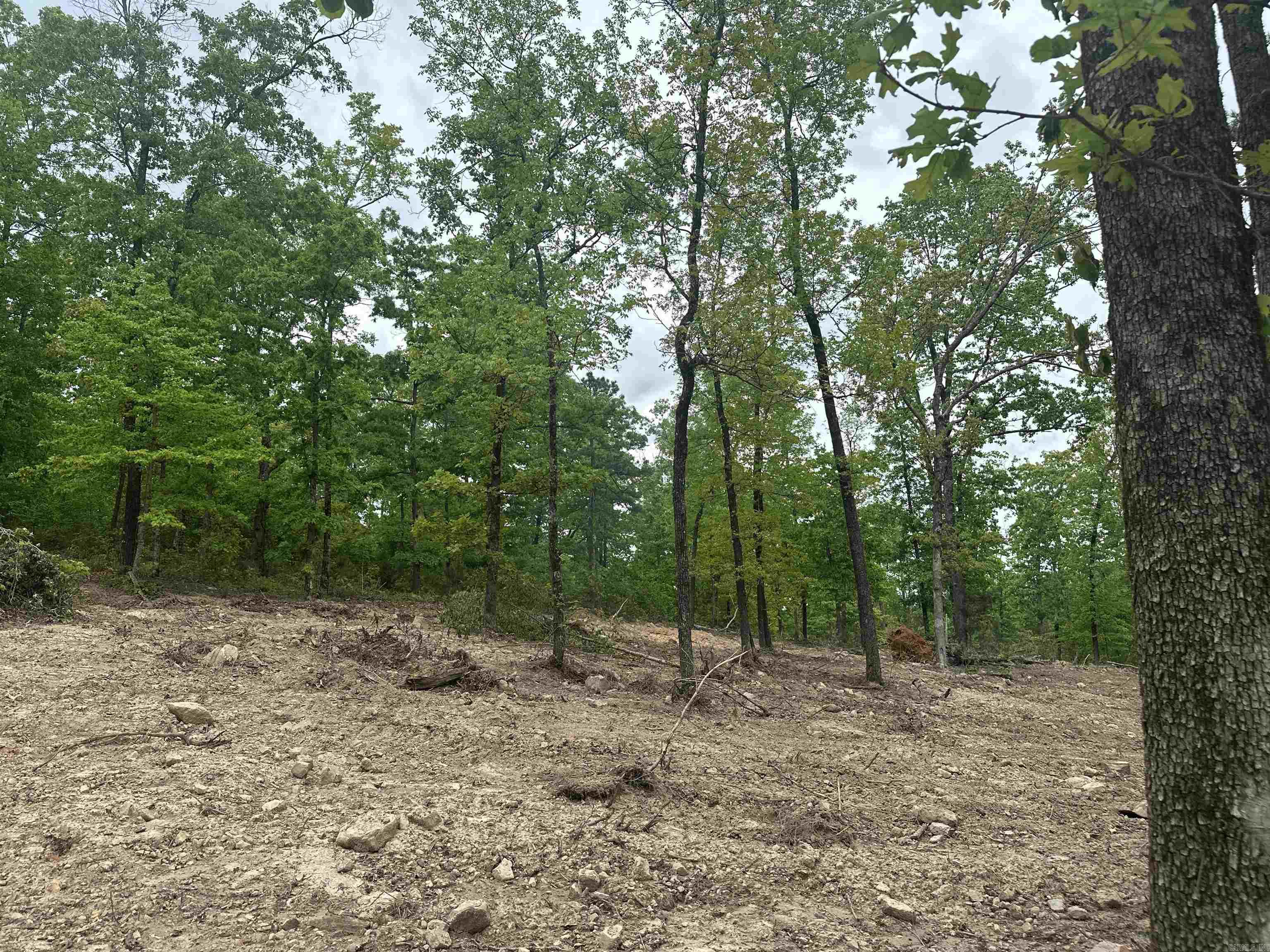 000 Holly Mtn Rd  Clinton, AR